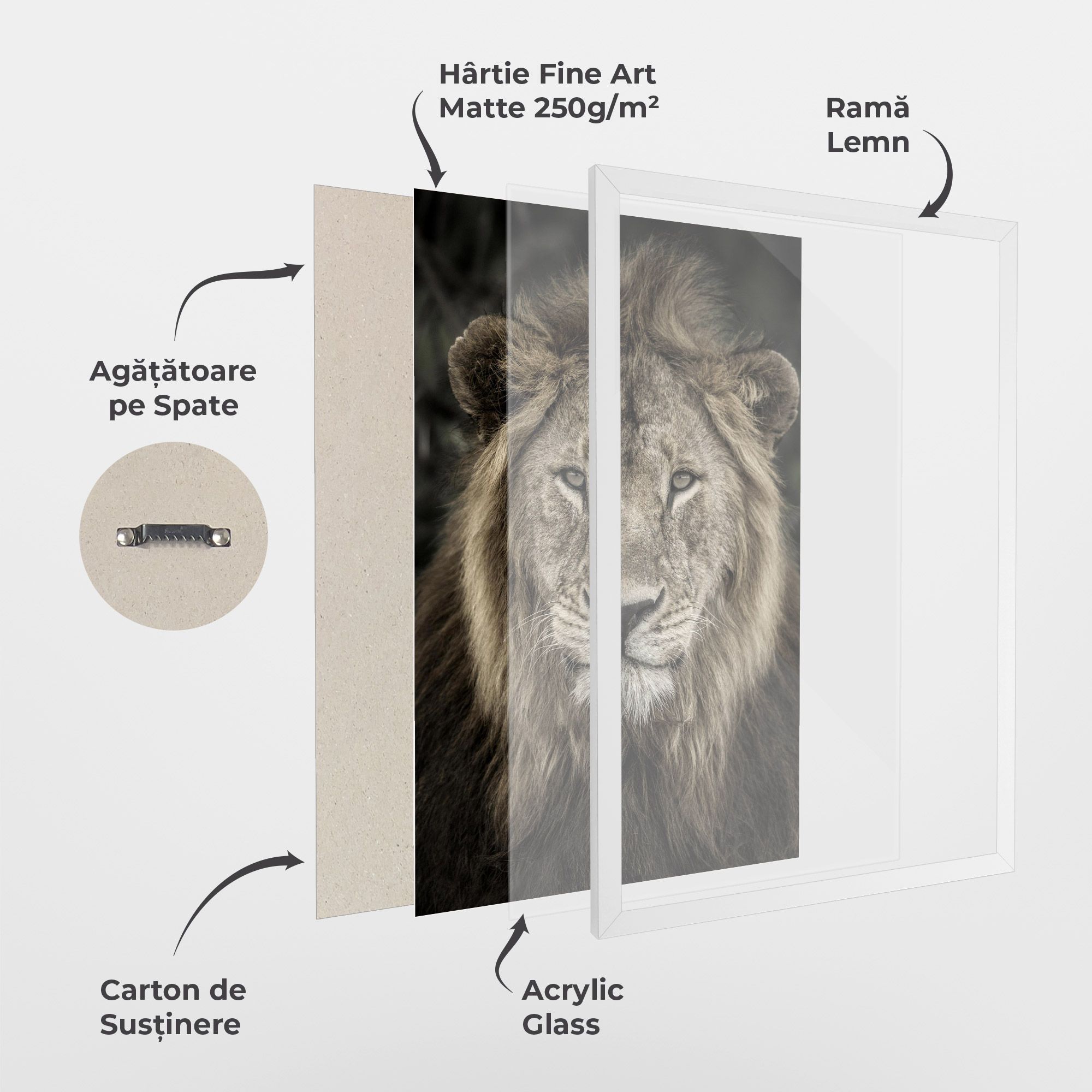 Lion Close Up mockup 1