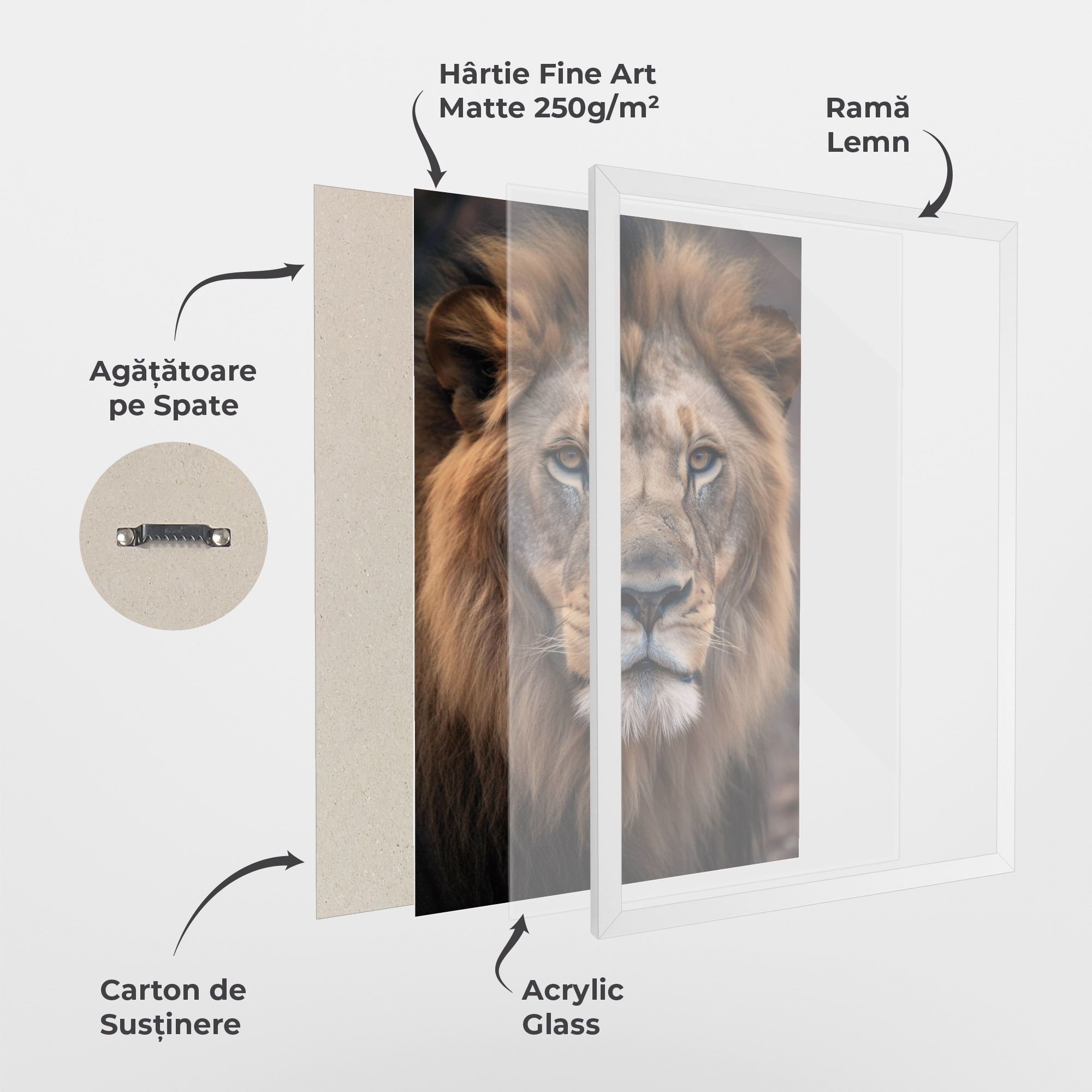 Wild Lion View mockup 1