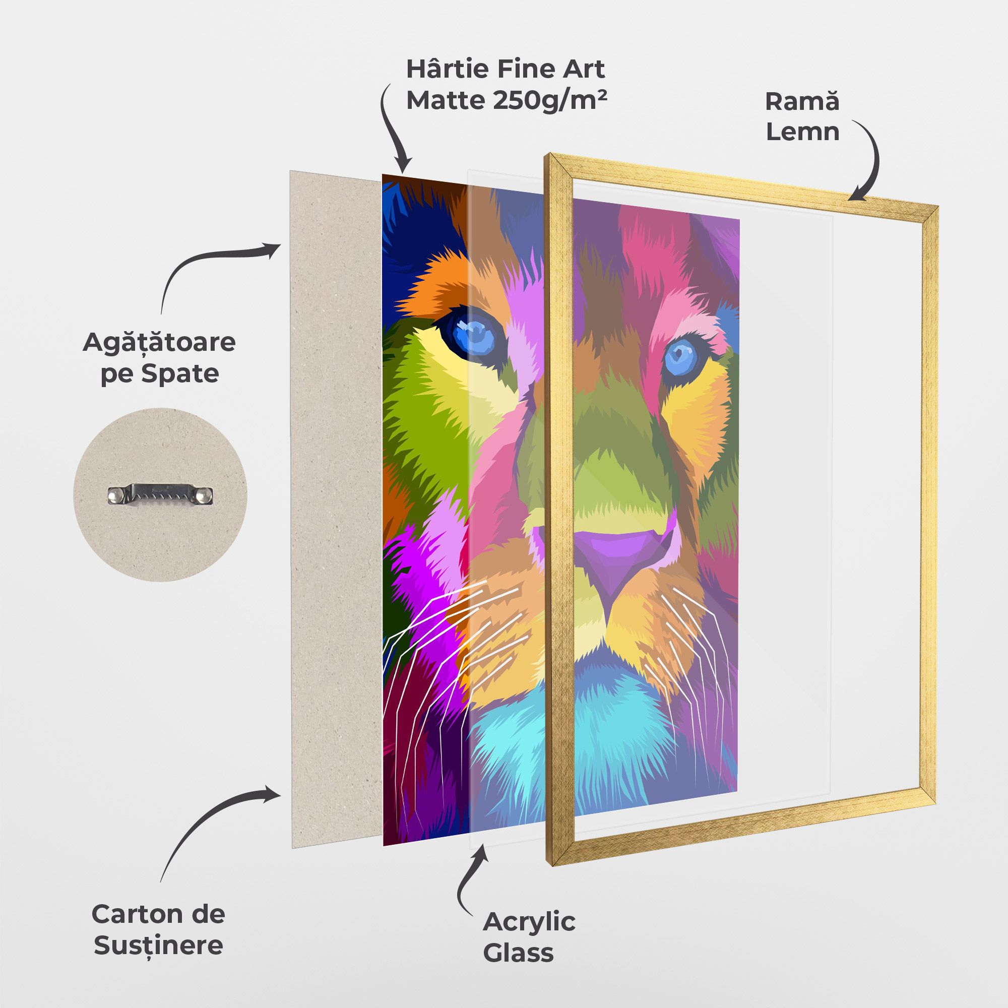Color Lion Close Up mockup 1