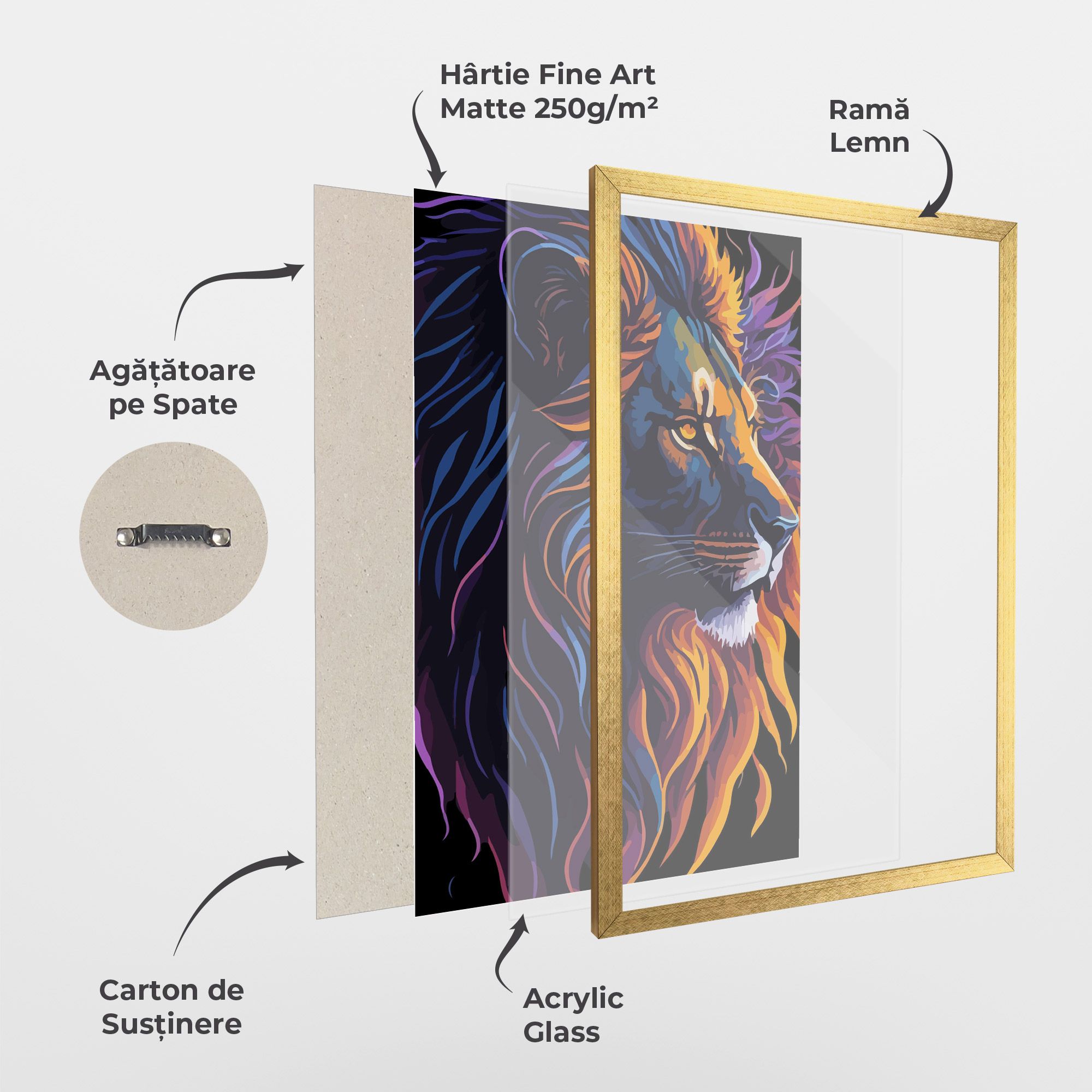 Colorful Lion On Black mockup 1