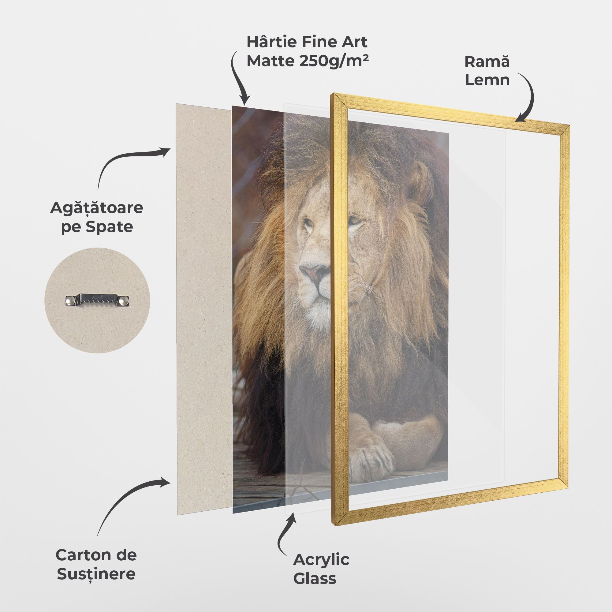 Lion Chilling mockup 1