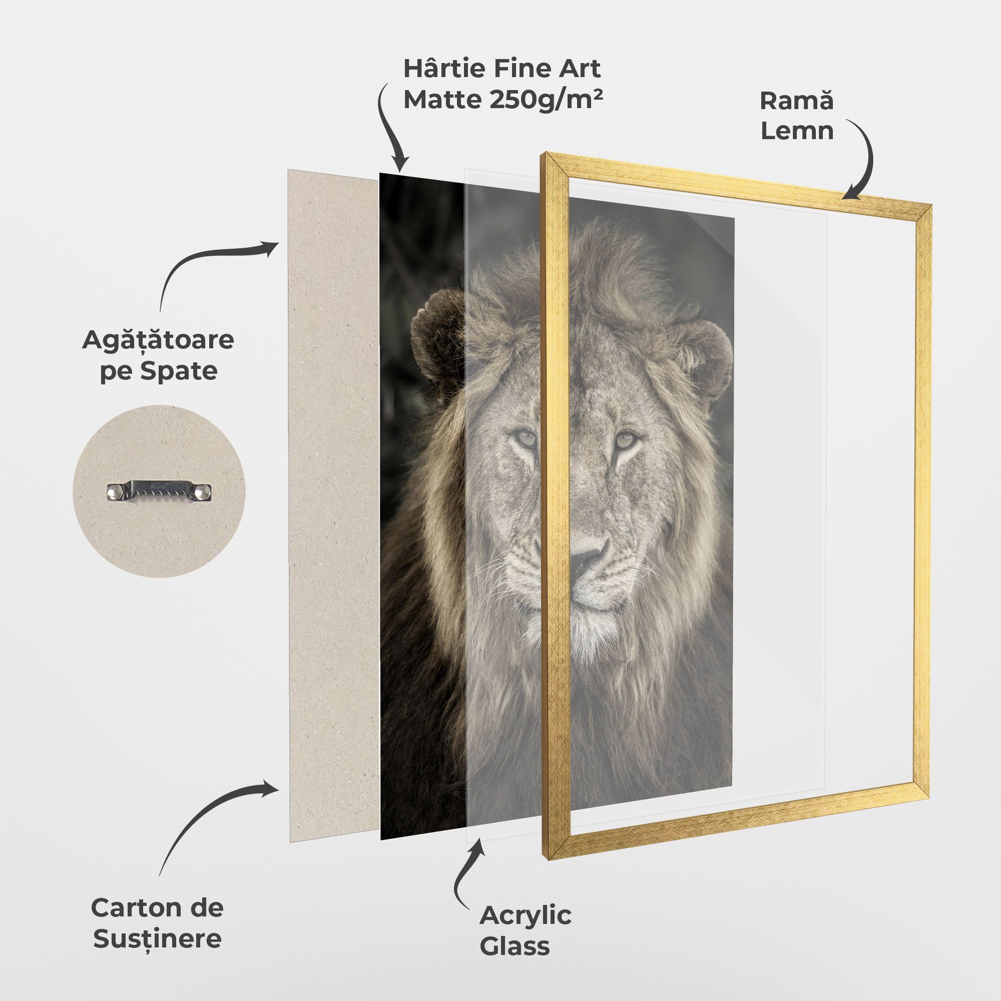 Lion Close Up mockup 1