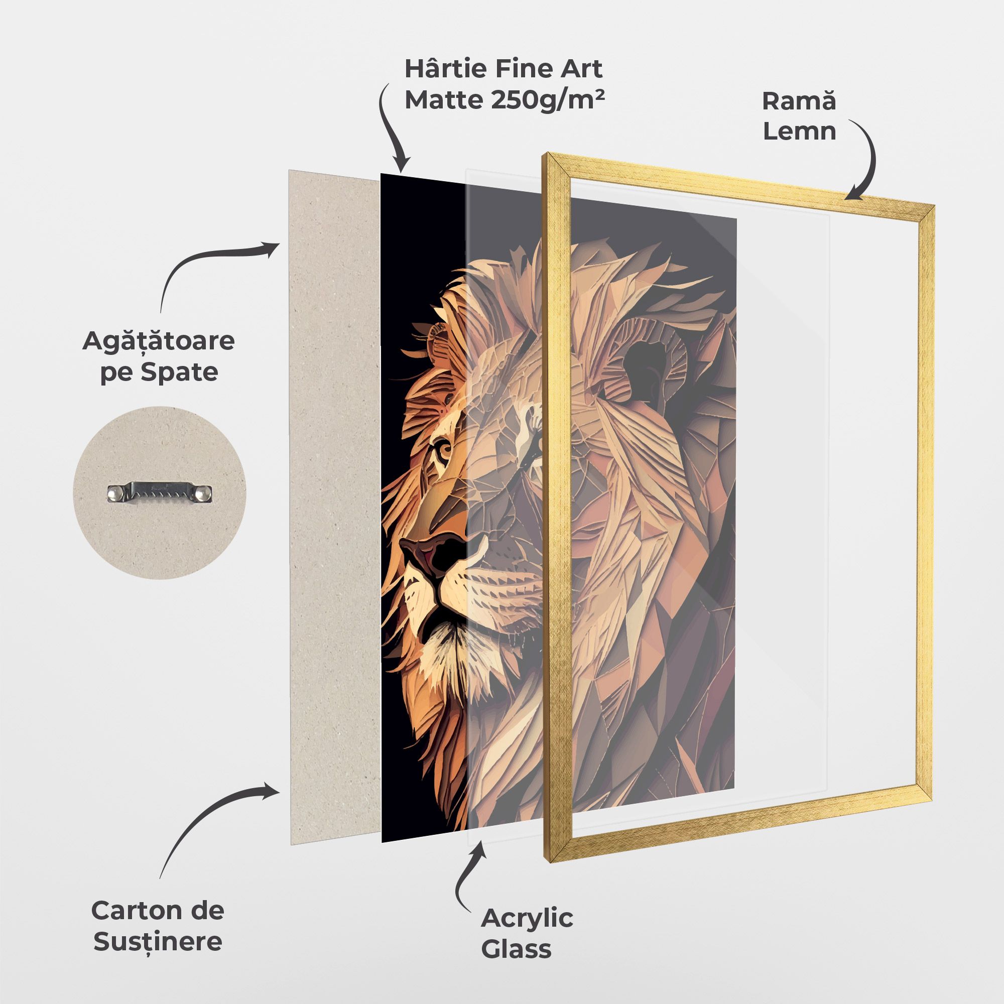 Orange Mix Lion mockup 1