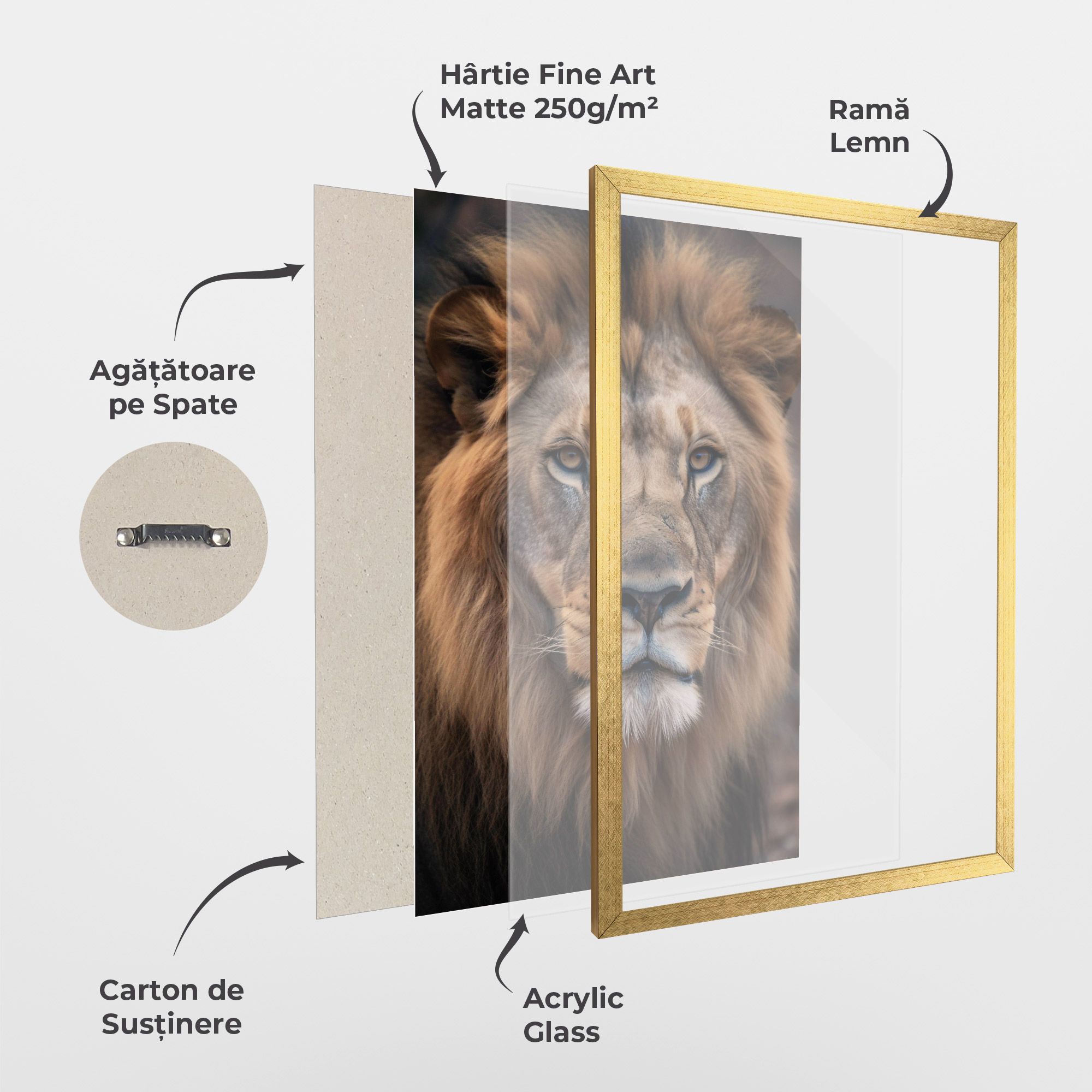 Wild Lion View mockup 1