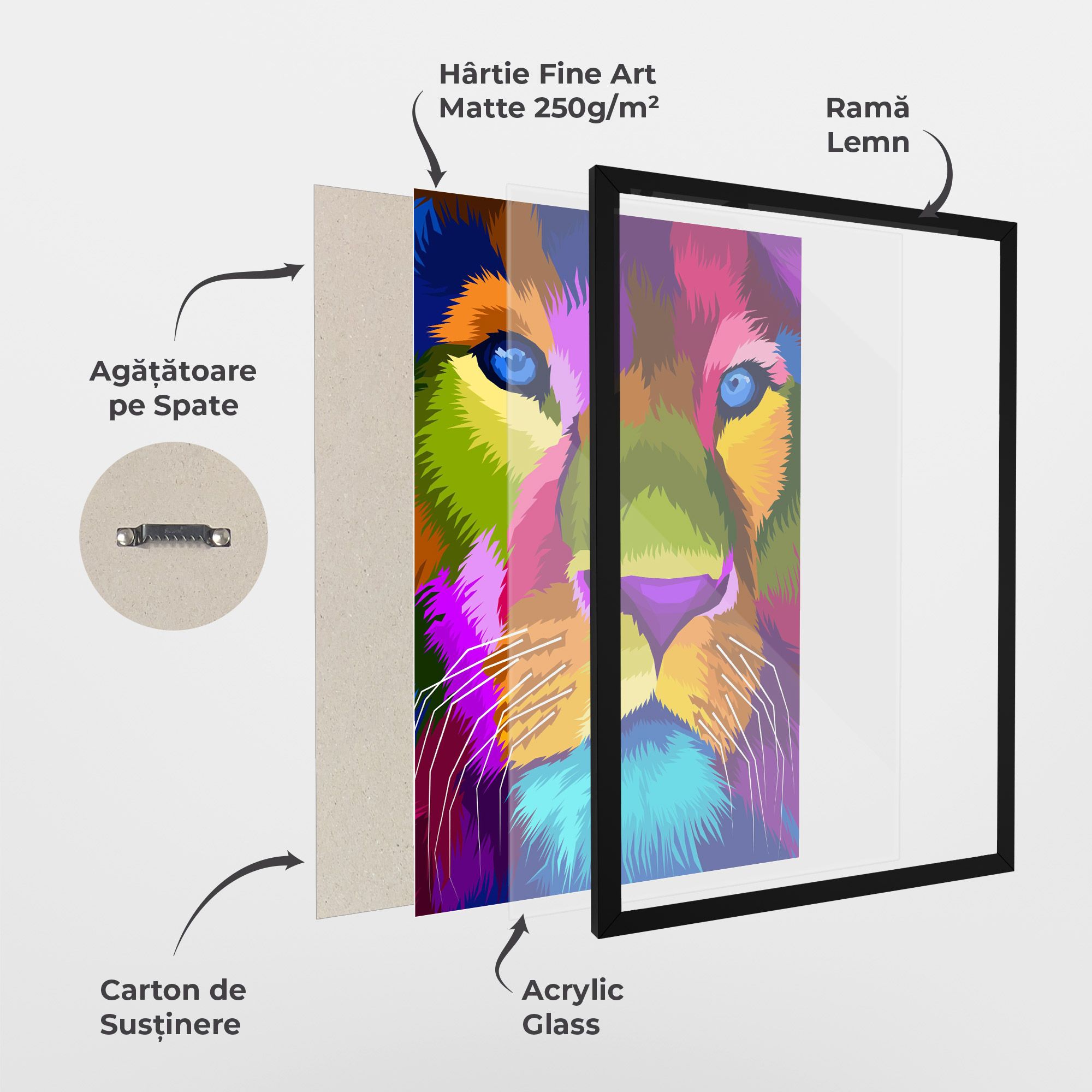 Color Lion Close Up mockup 1