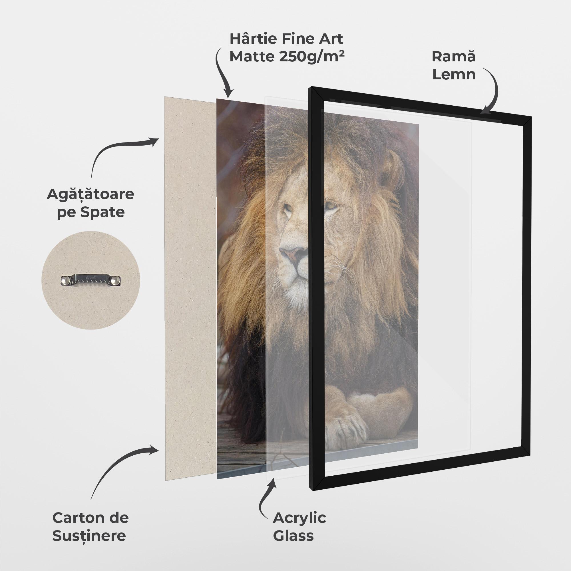 Poster Înrămat Lion Chilling mockup 1
