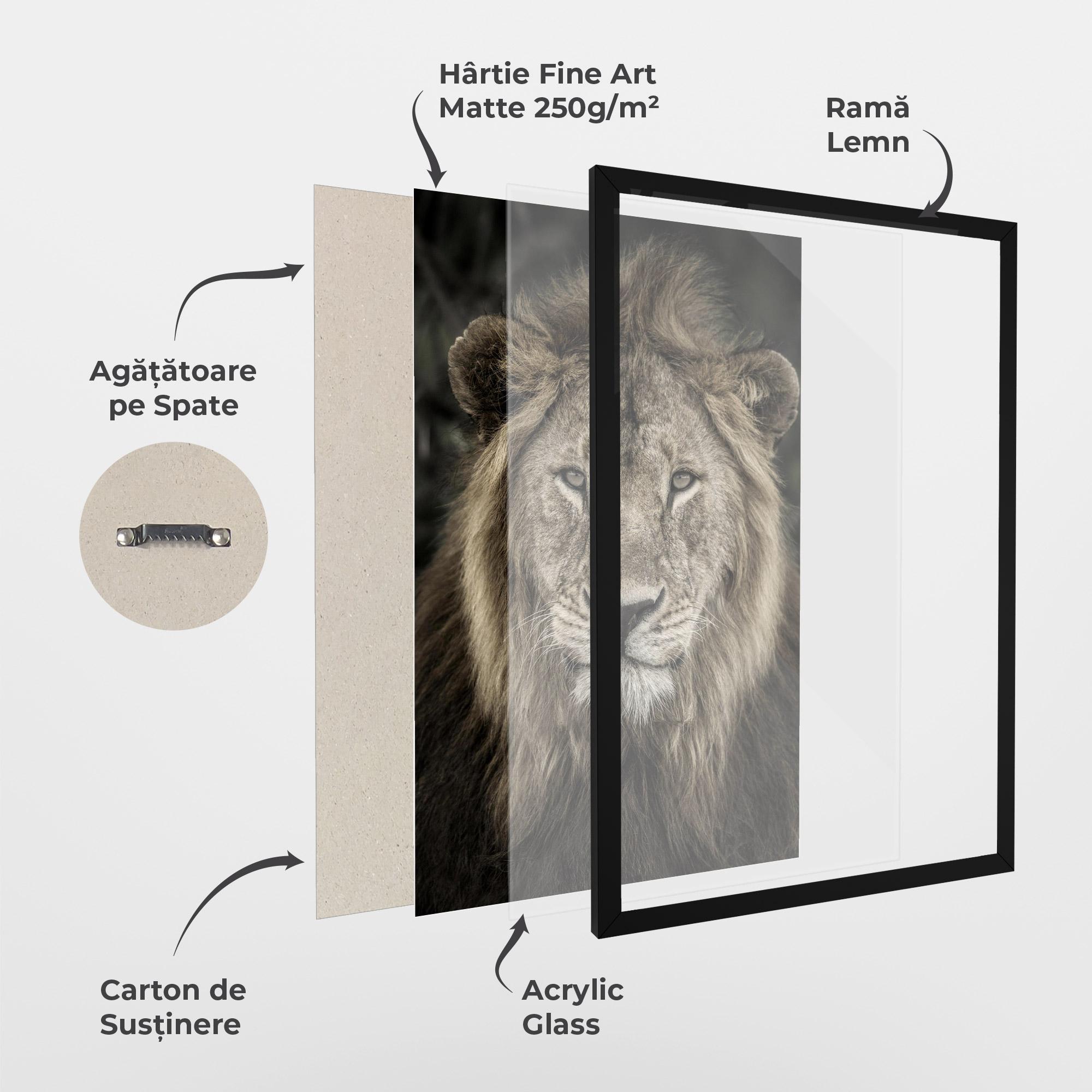 Poster Înrămat Lion Close Up mockup 1