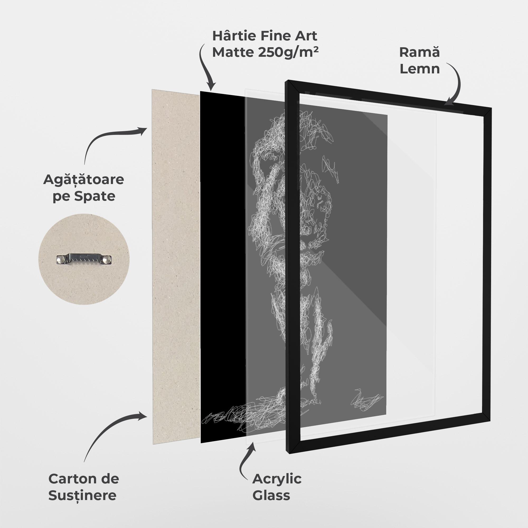 Poster Înrămat Lion Signature mockup 1