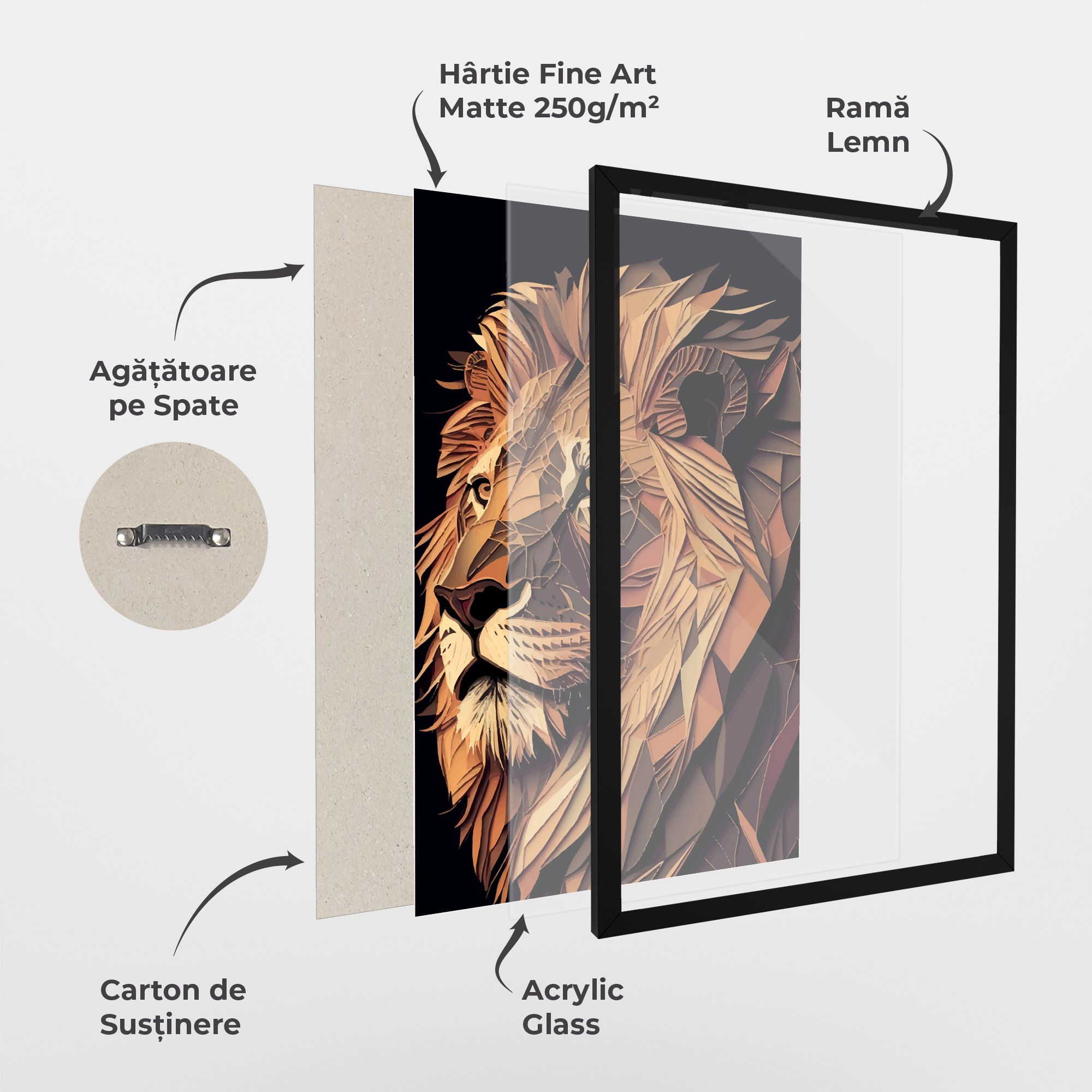 Orange Mix Lion mockup 1