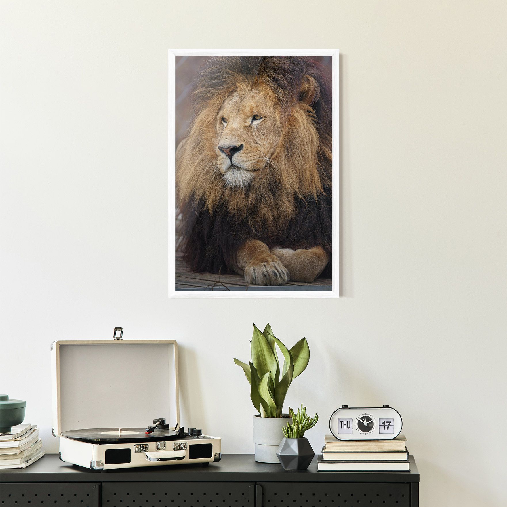 Lion Chilling mockup 2