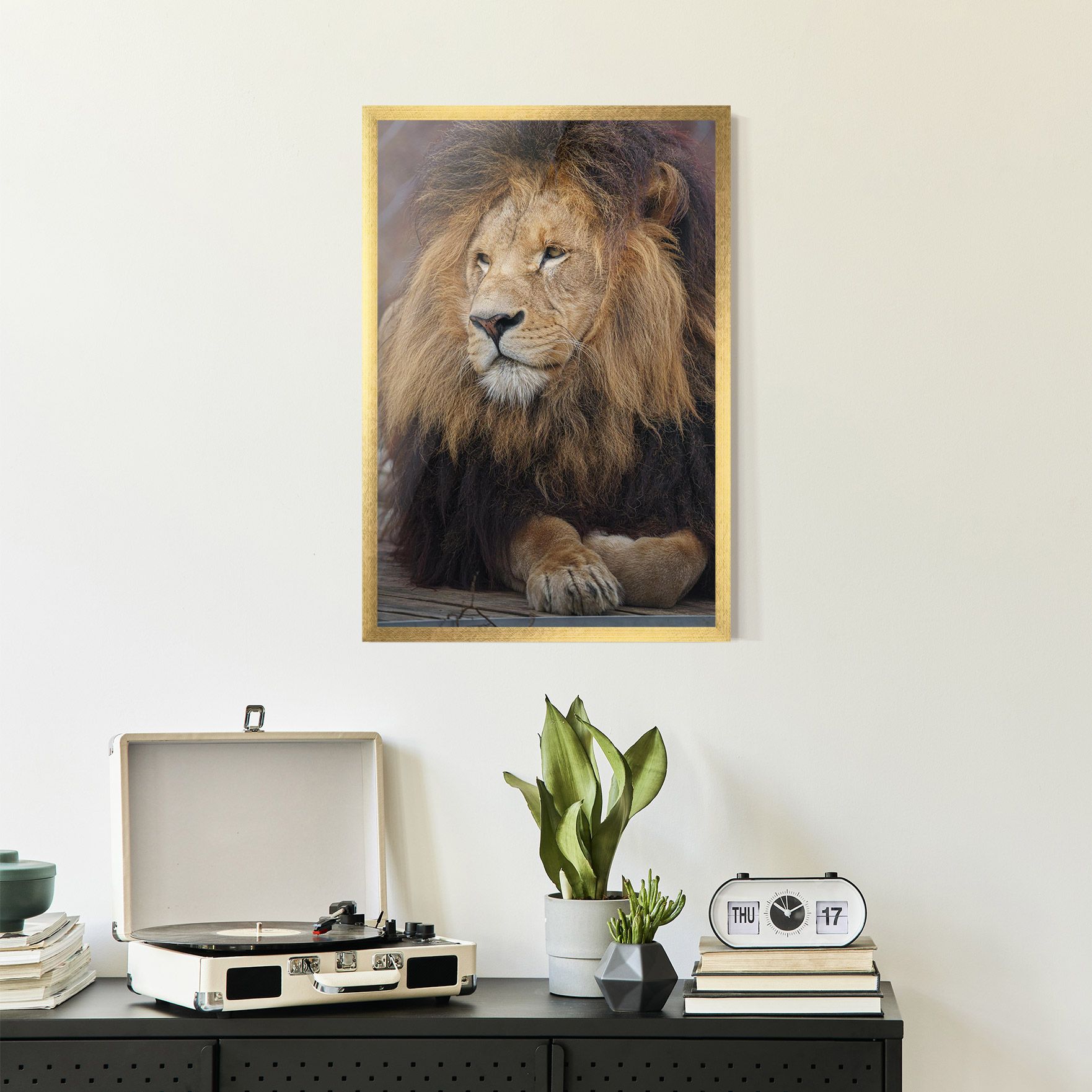 Lion Chilling mockup 2