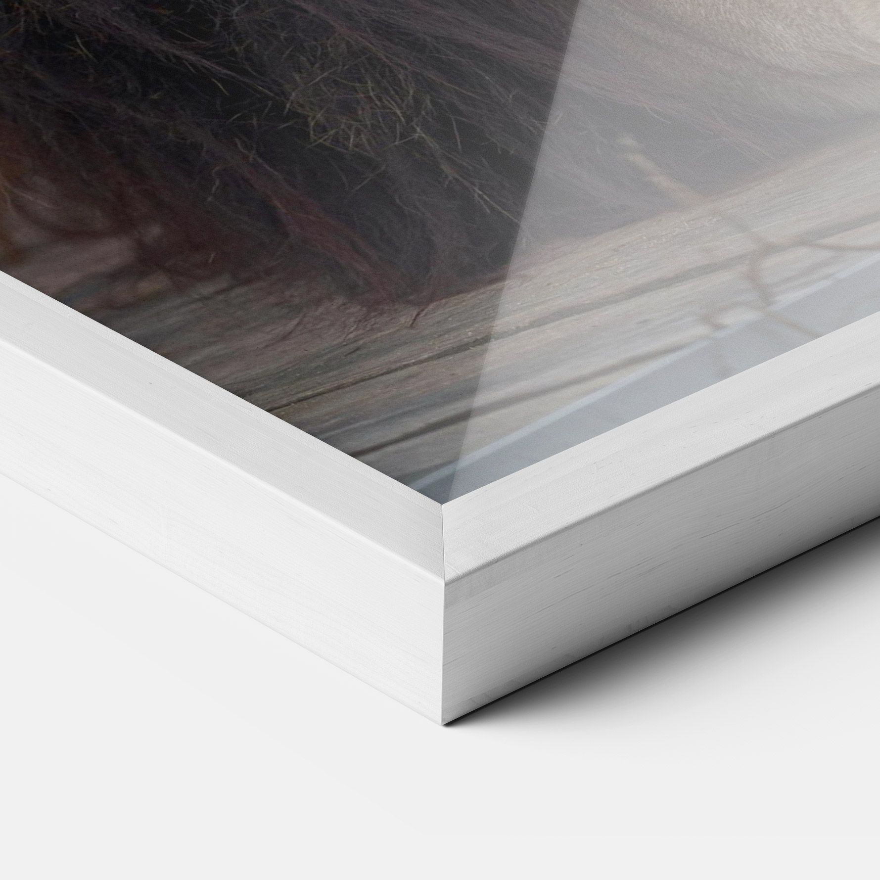 Lion Chilling mockup 3