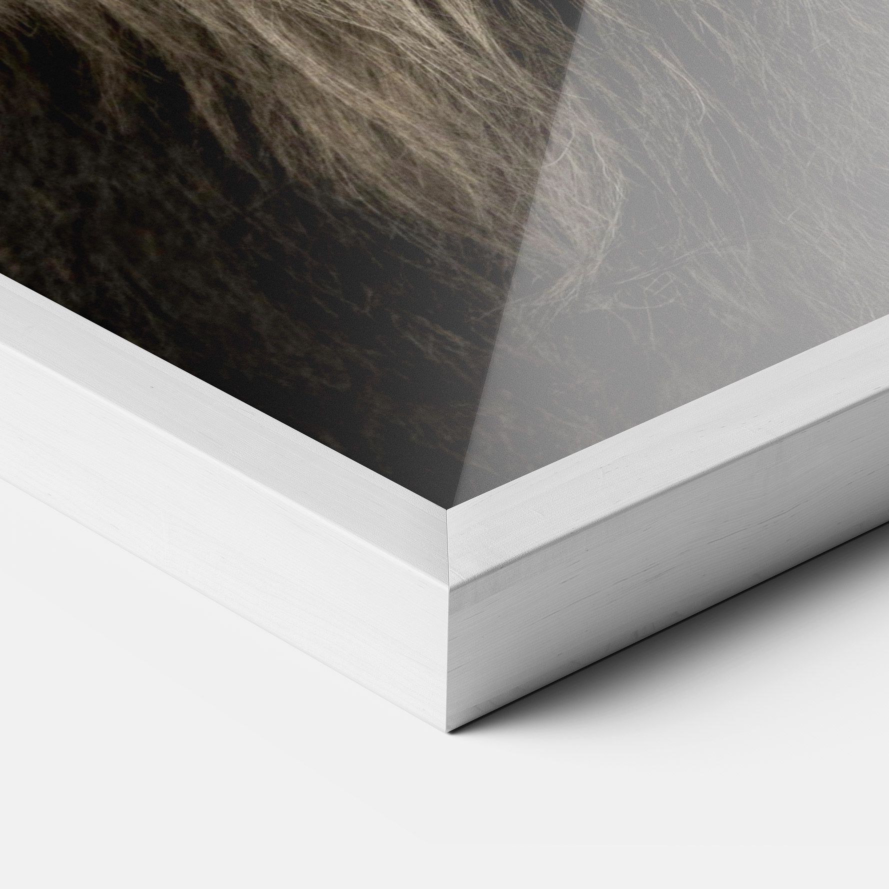 Lion Close Up mockup 3