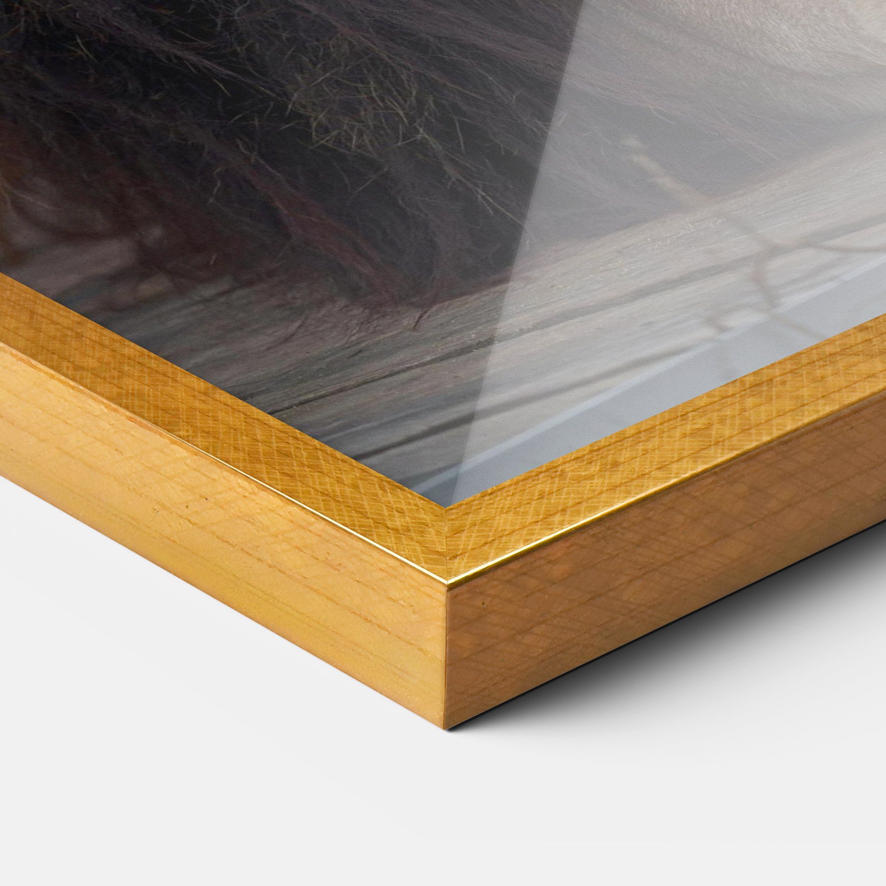 Lion Chilling mockup 3