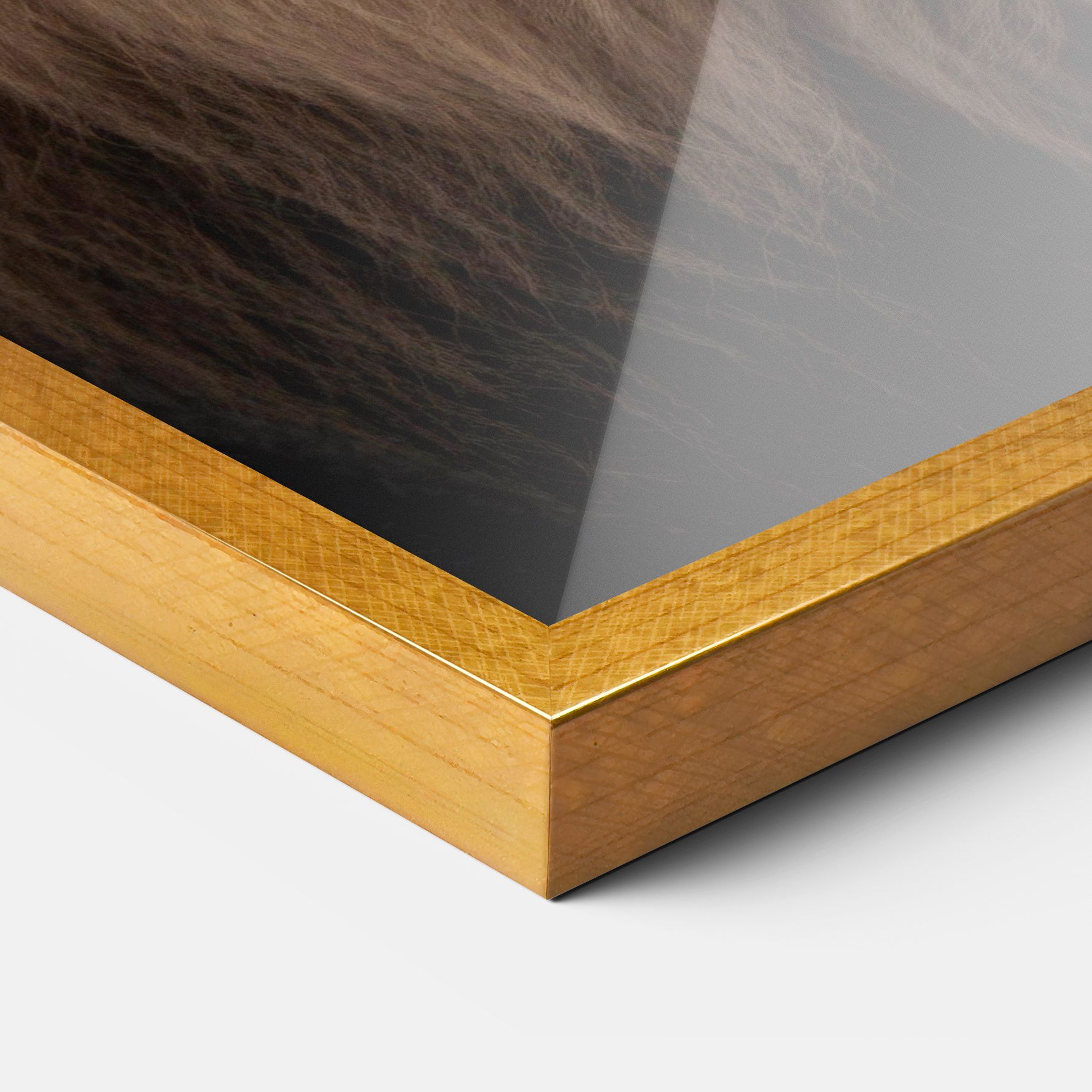 Wild Lion View mockup 3