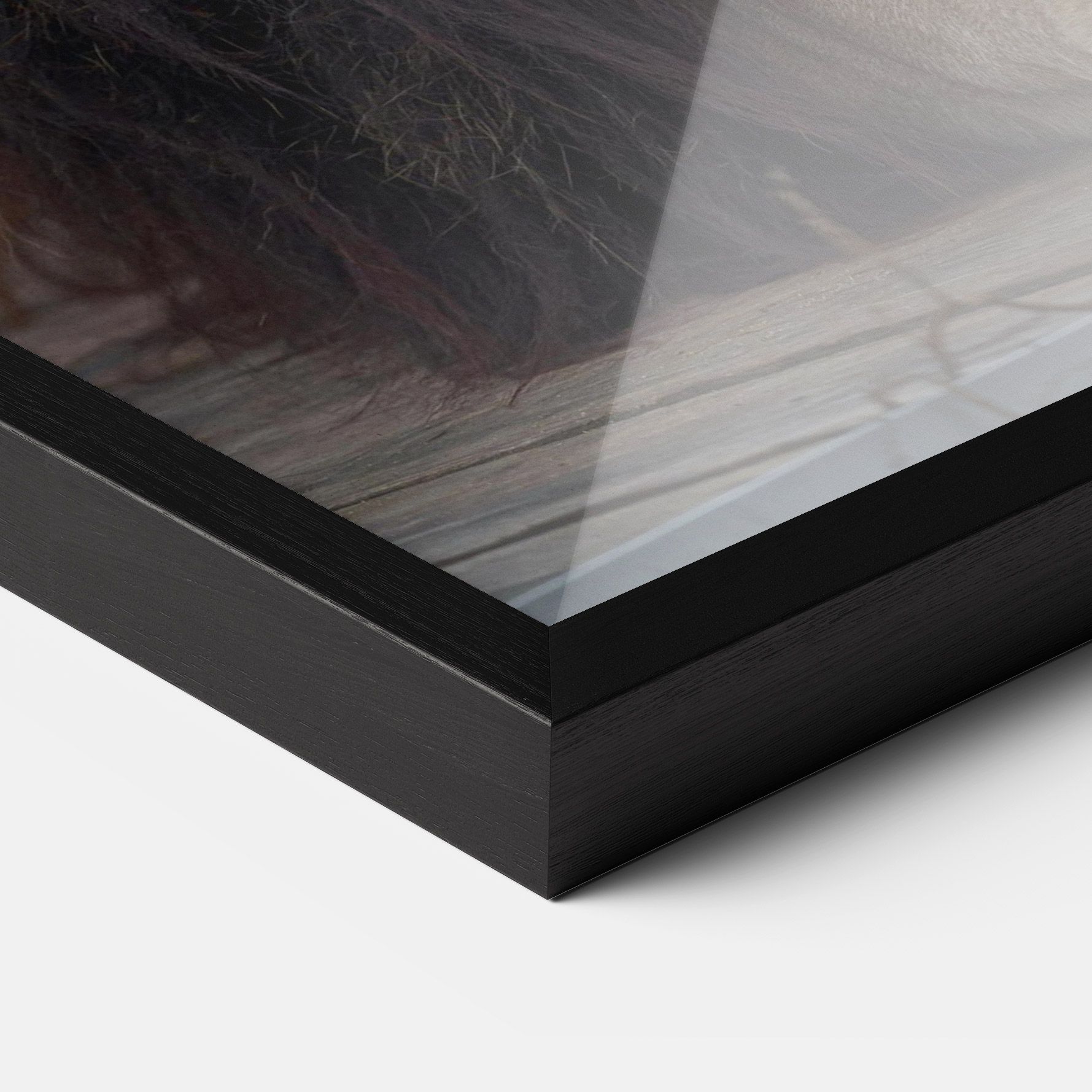 Lion Chilling mockup 3