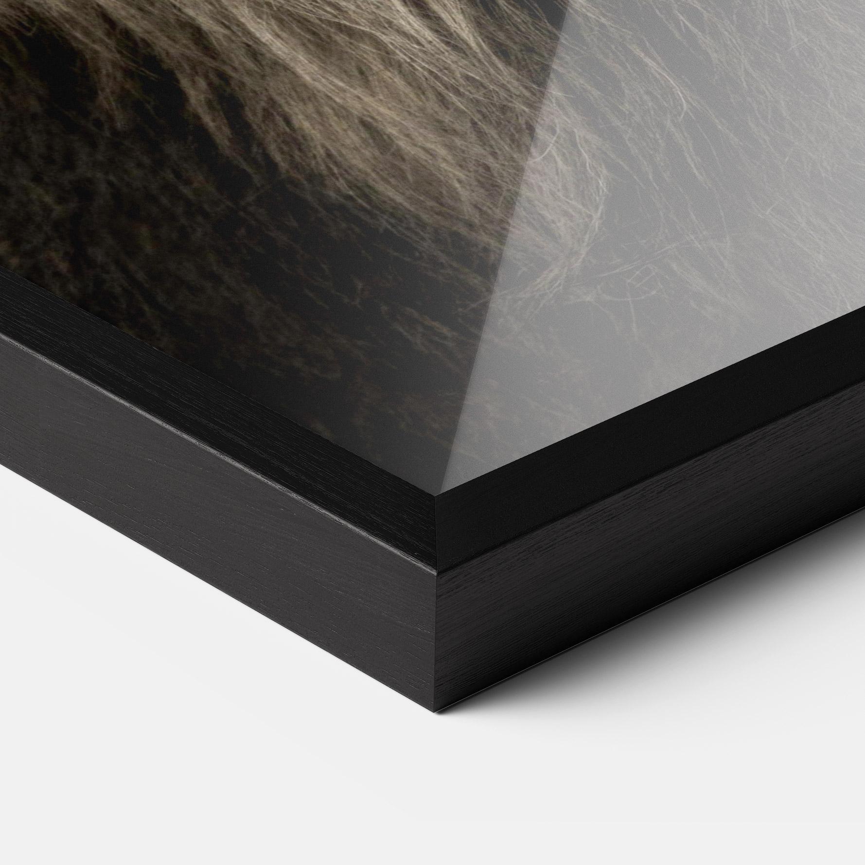 Poster Înrămat Lion Close Up mockup 3