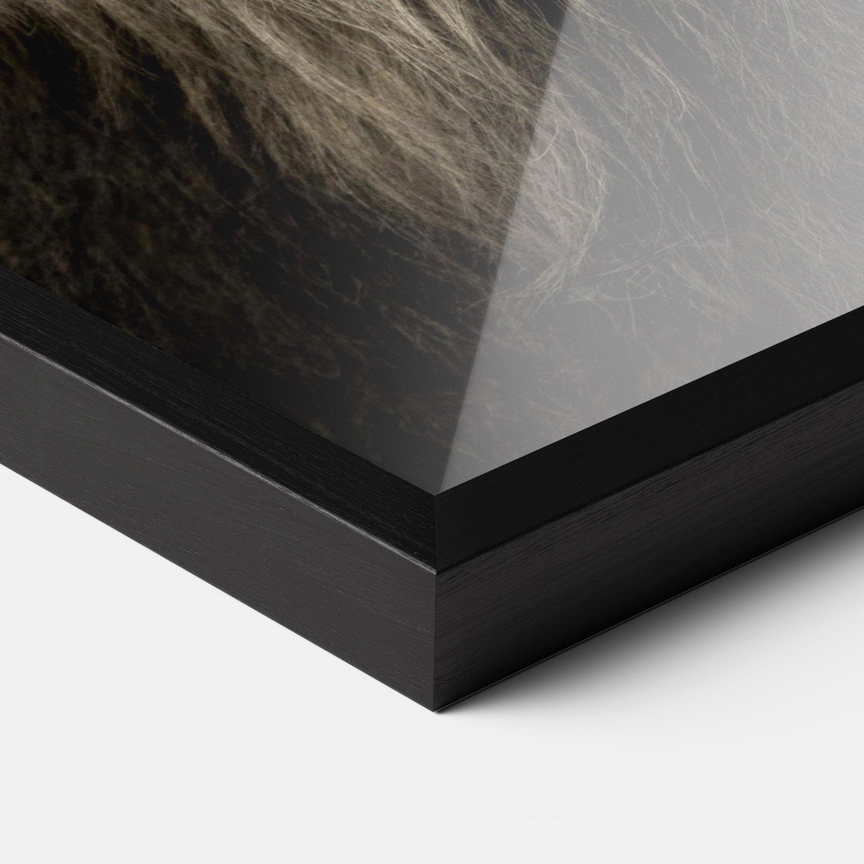 Lion Close Up mockup 3