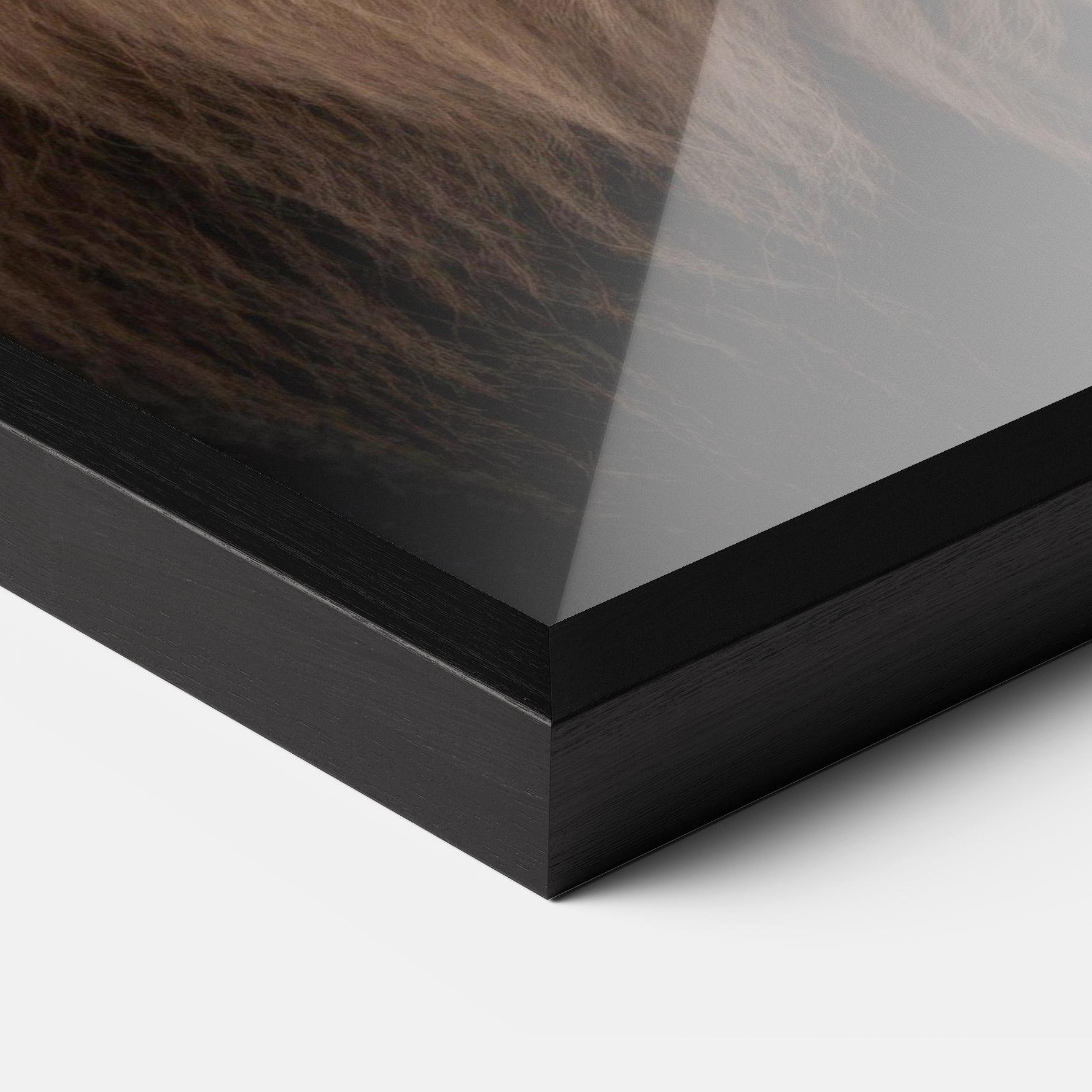 Poster Înrămat Wild Lion View mockup 3