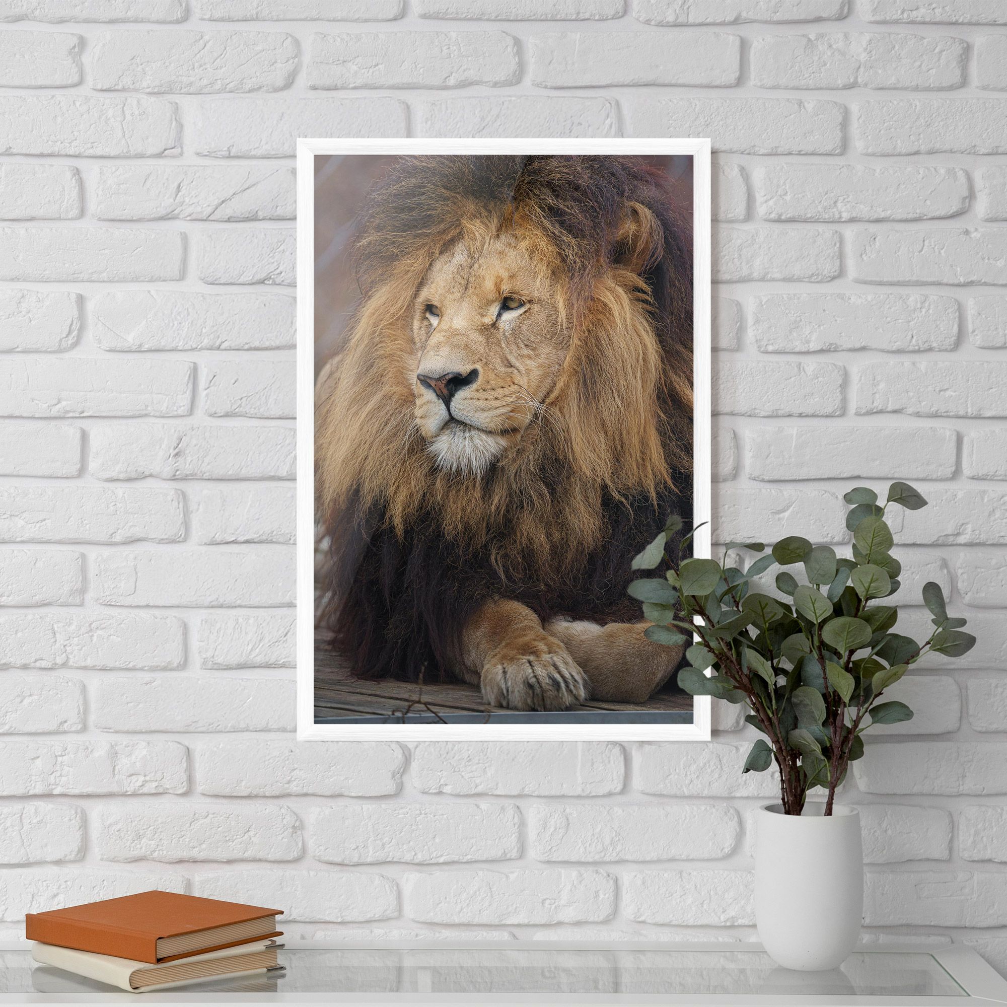 Lion Chilling mockup 5