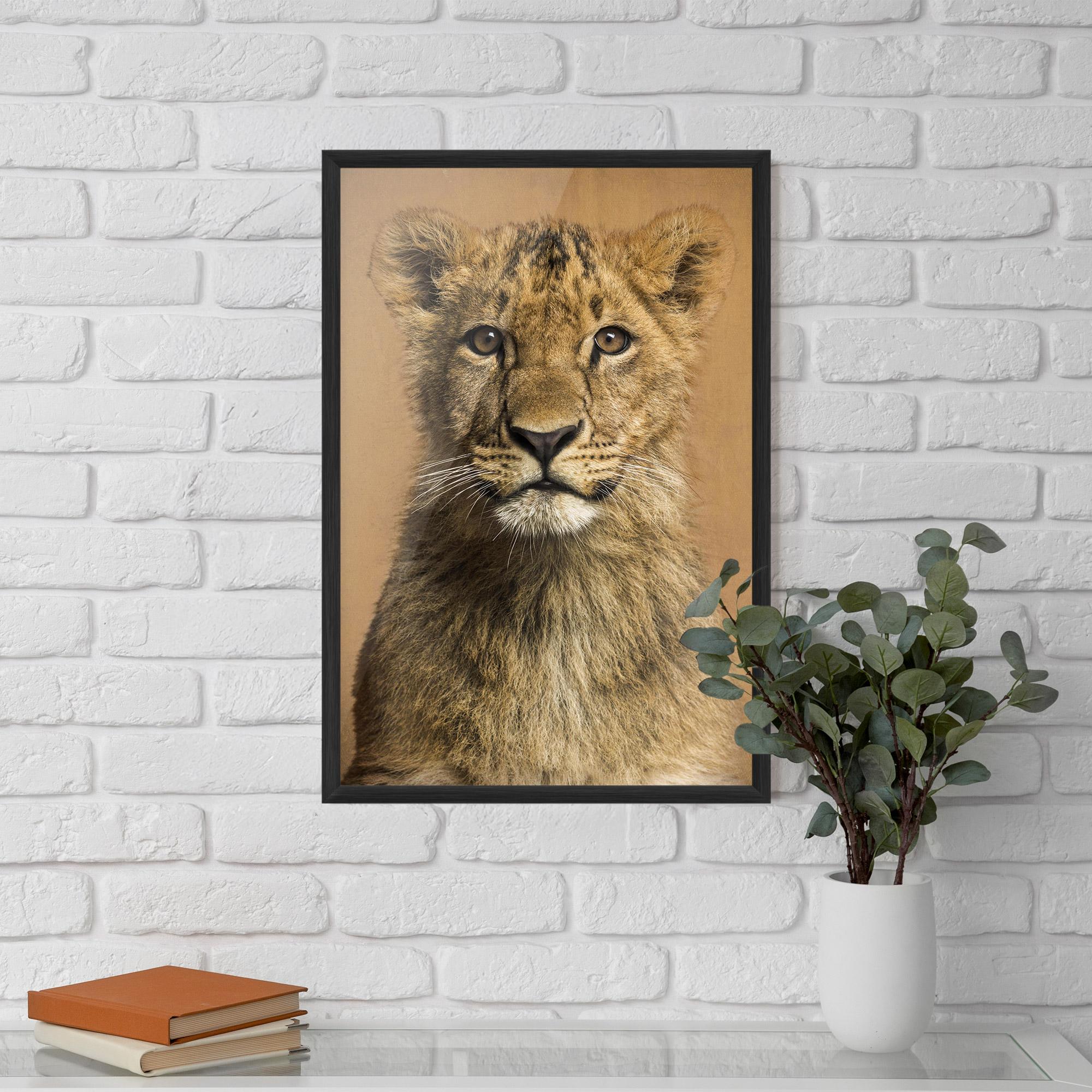 Poster Înrămat Baby Lion mockup 5