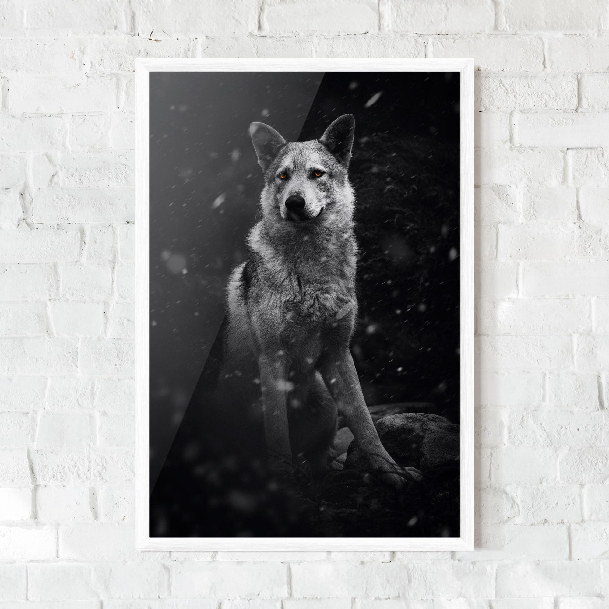 Poster Înrămat Sitting Wolf mockup 0