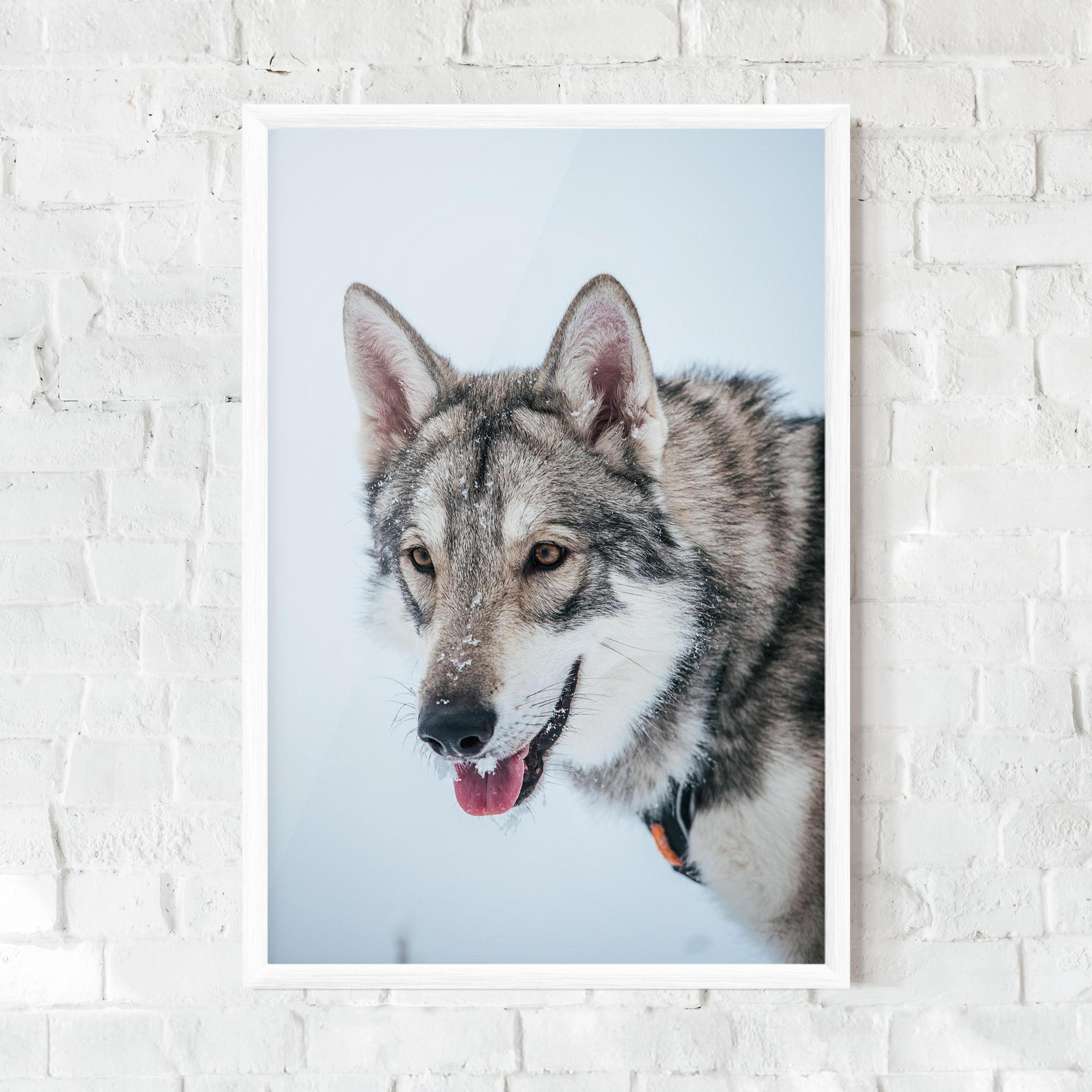 Poster Înrămat Wolf Head mockup 0