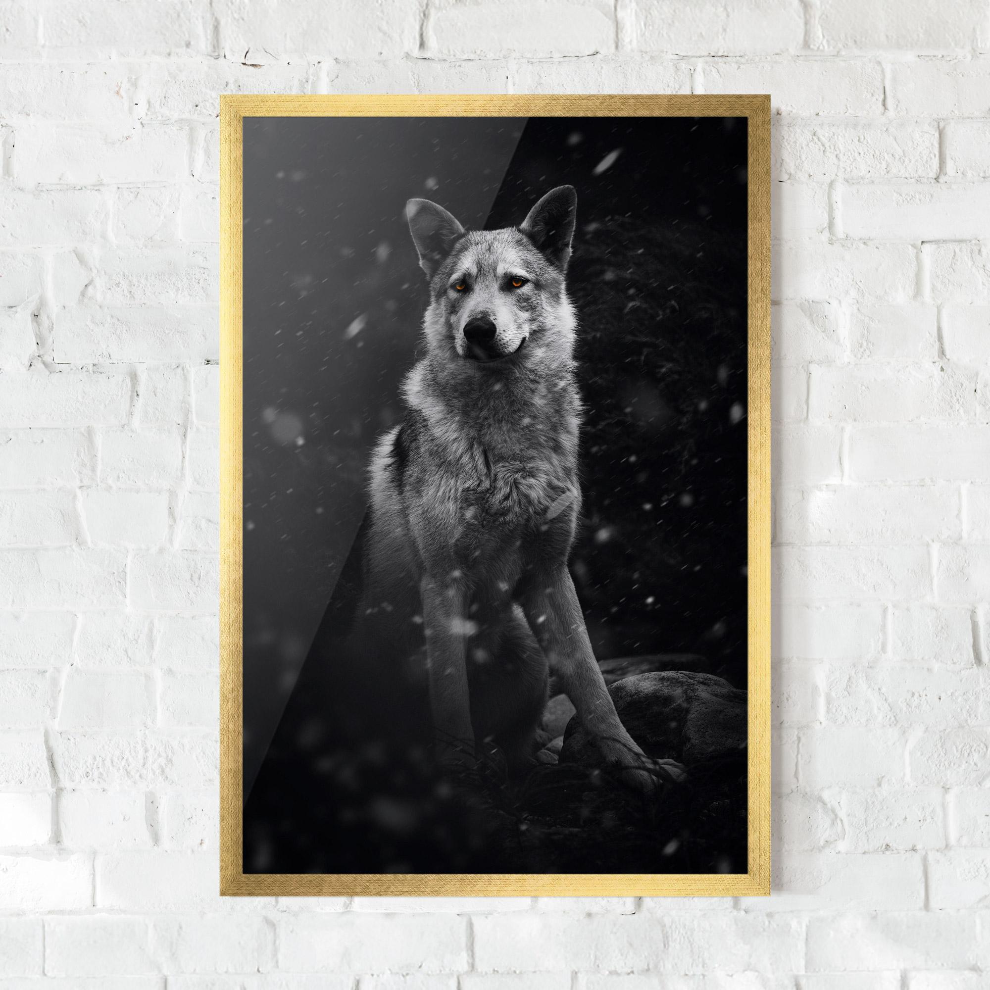 Poster Înrămat Sitting Wolf mockup 0