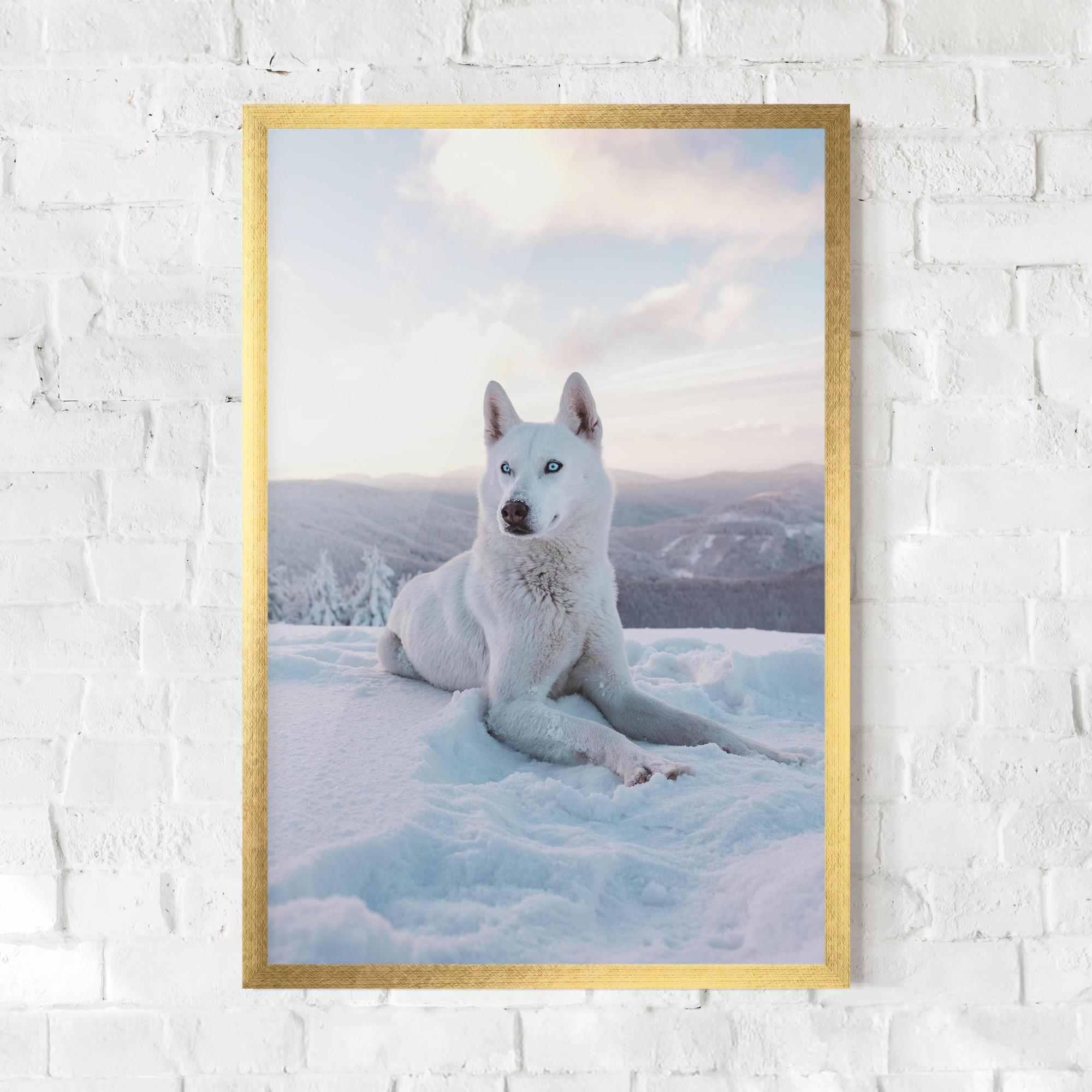 Poster Înrămat White Snow Wolf mockup 0