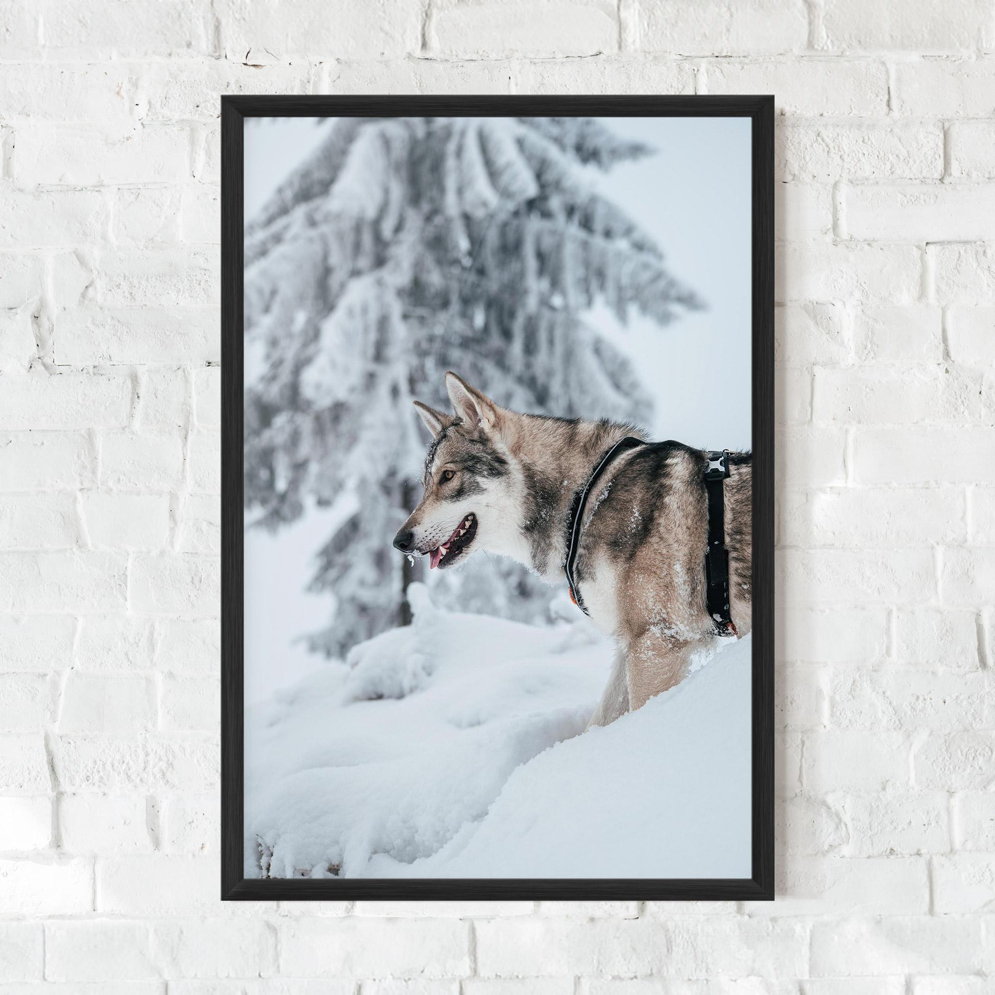 Poster Înrămat Snow Wolf mockup 0