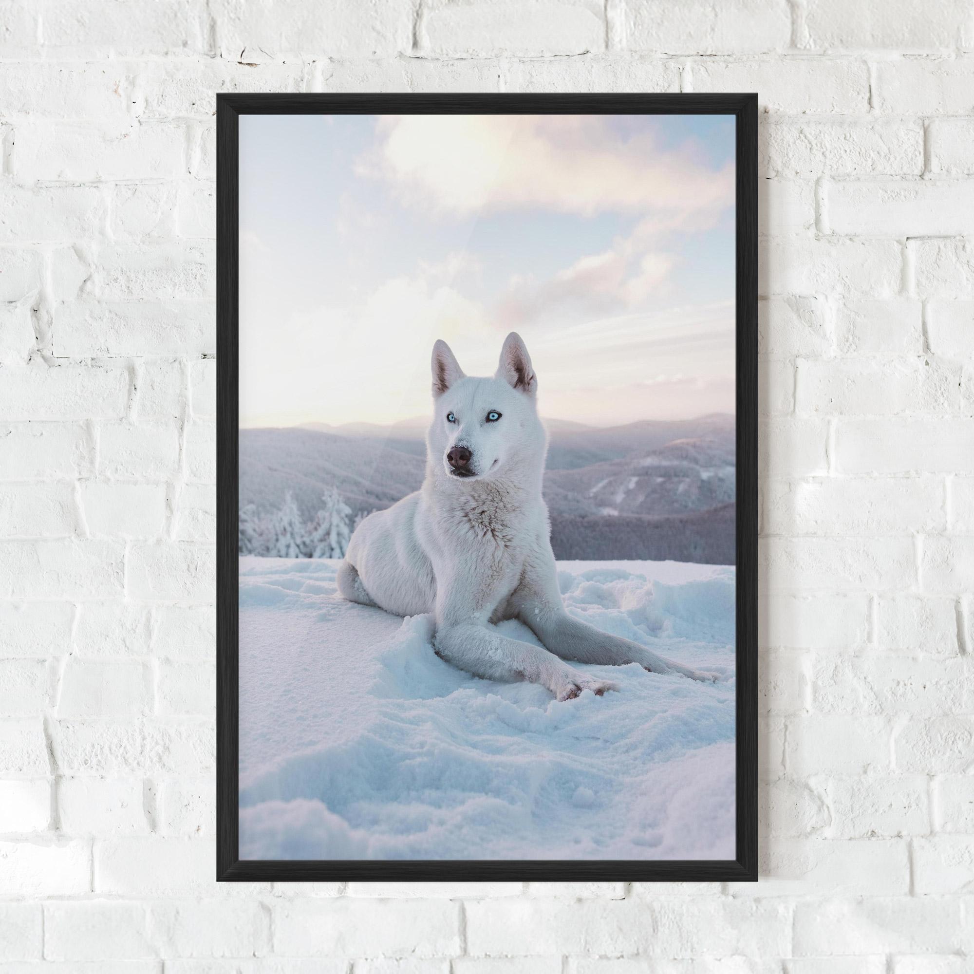 Poster Înrămat White Snow Wolf mockup 0