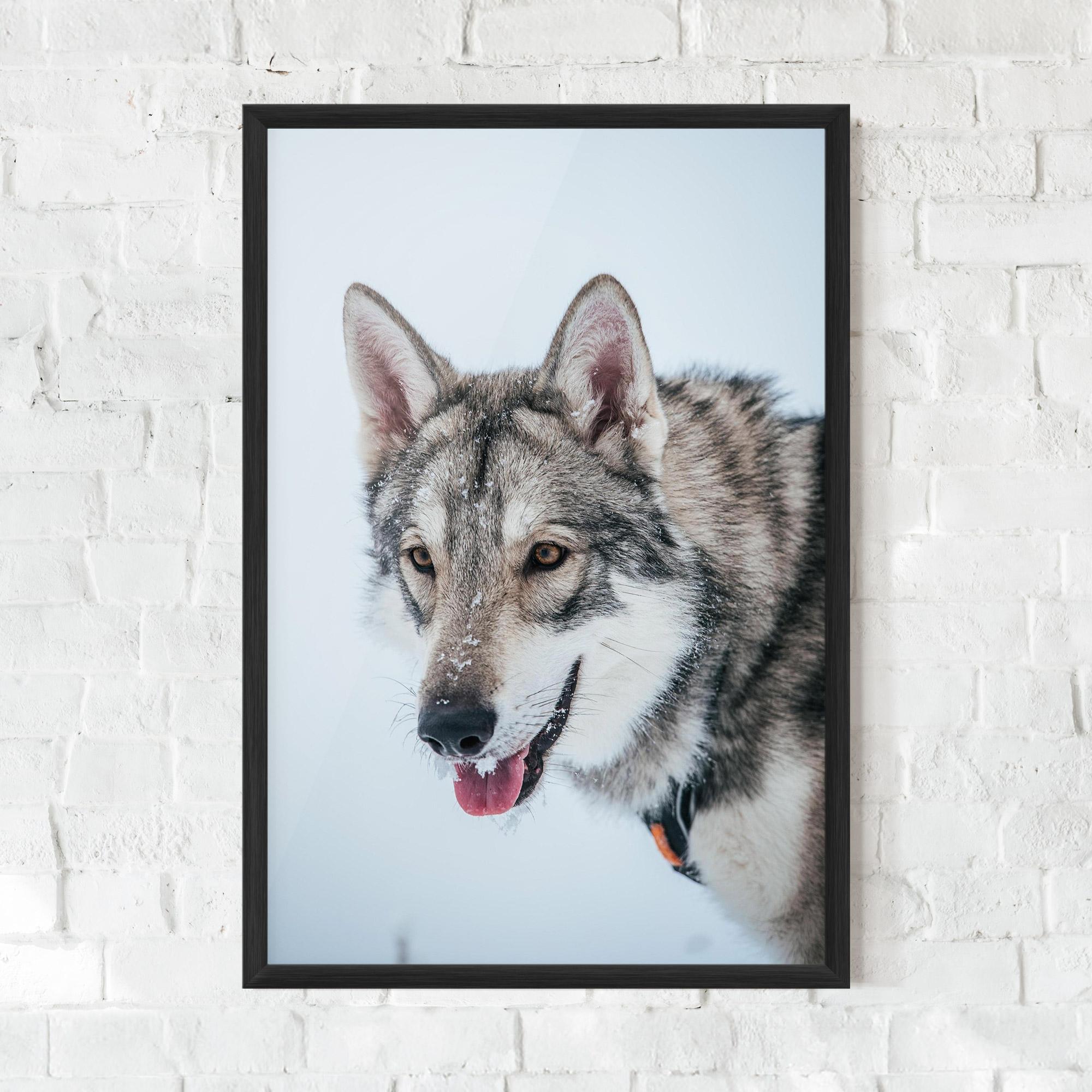 Poster Înrămat Wolf Head mockup 0