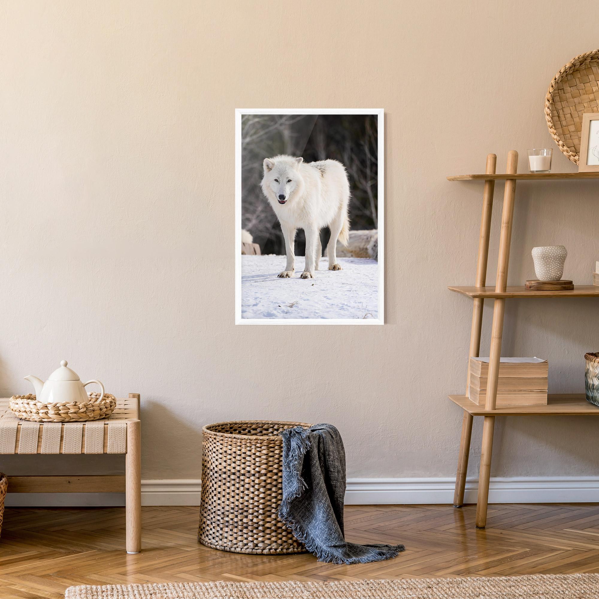 Poster Înrămat Beautiful White Wolf mockup 9