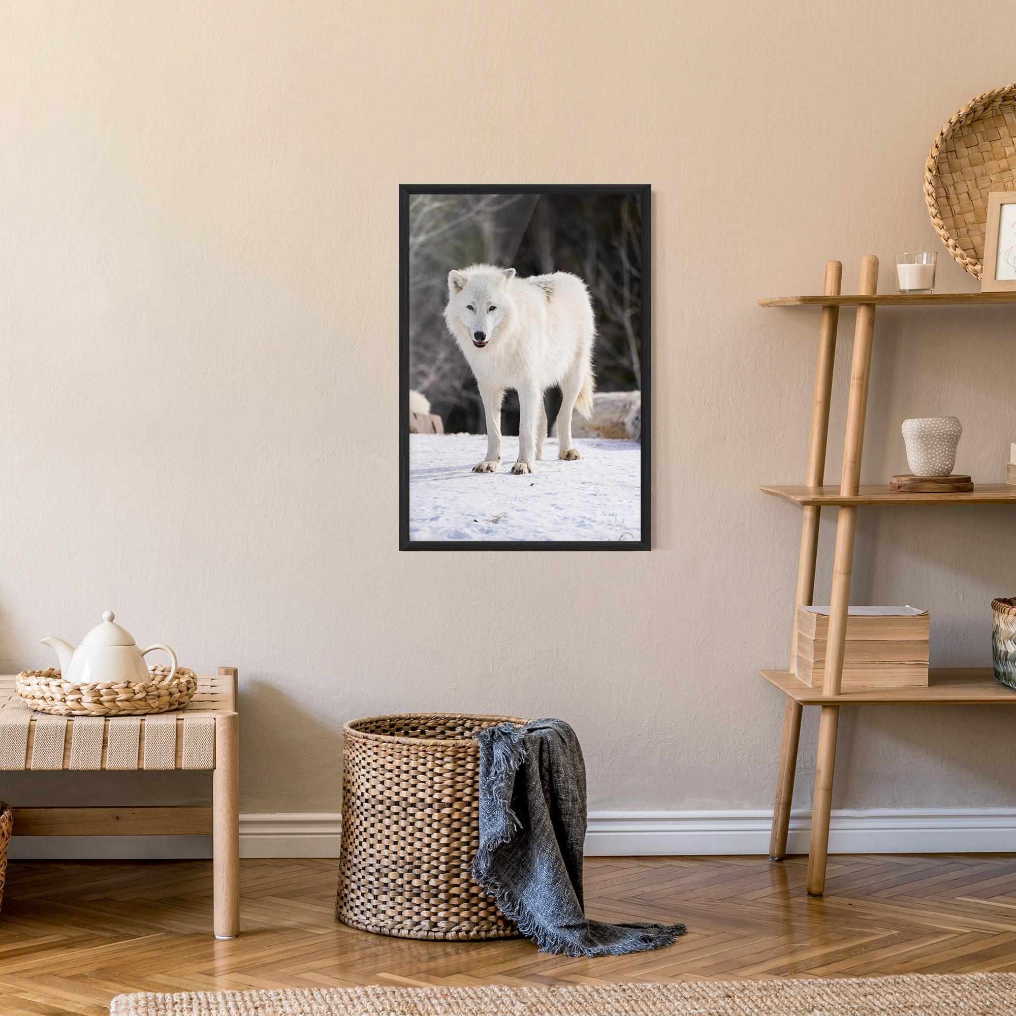 Poster Înrămat Beautiful White Wolf mockup 9