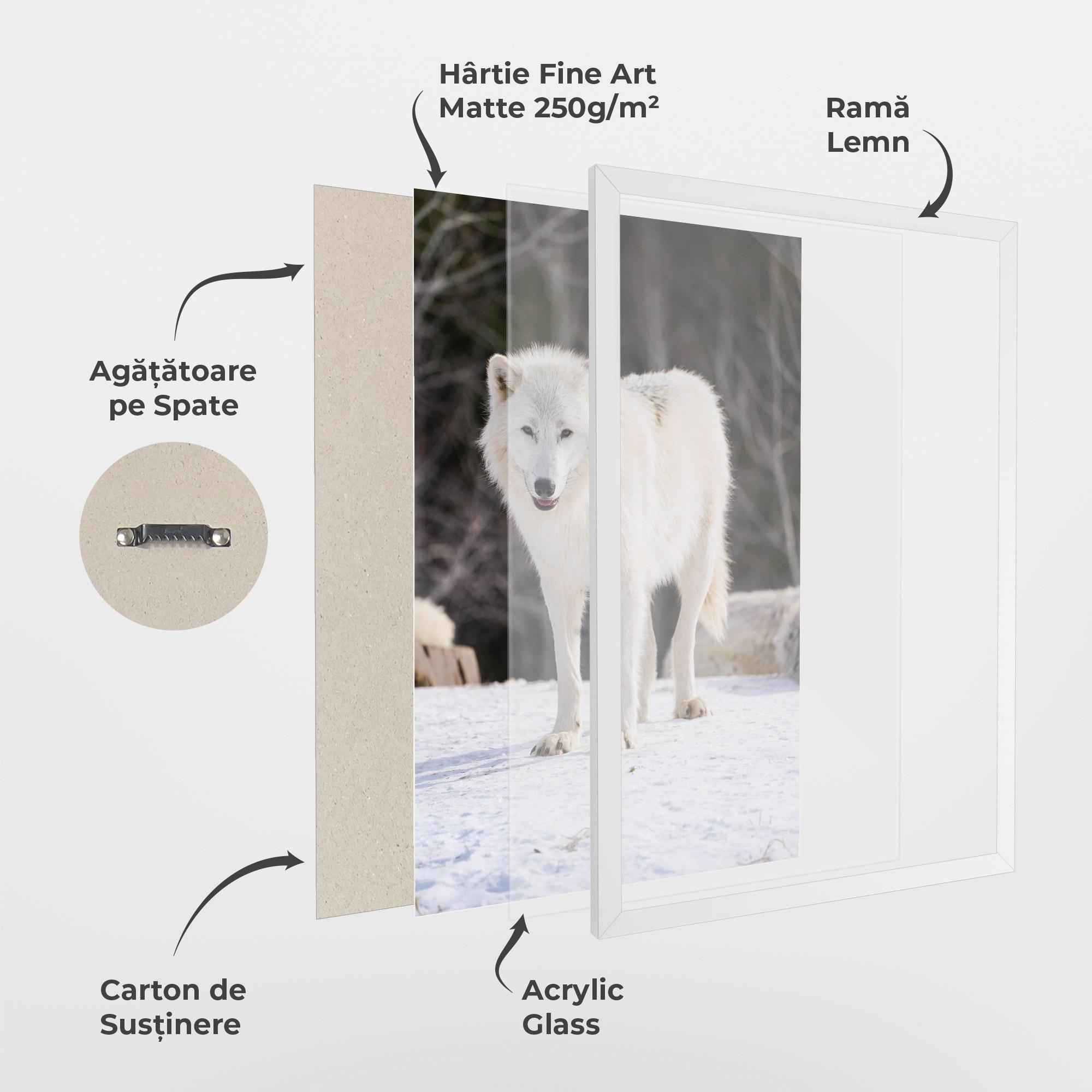 Poster Înrămat Beautiful White Wolf mockup 1