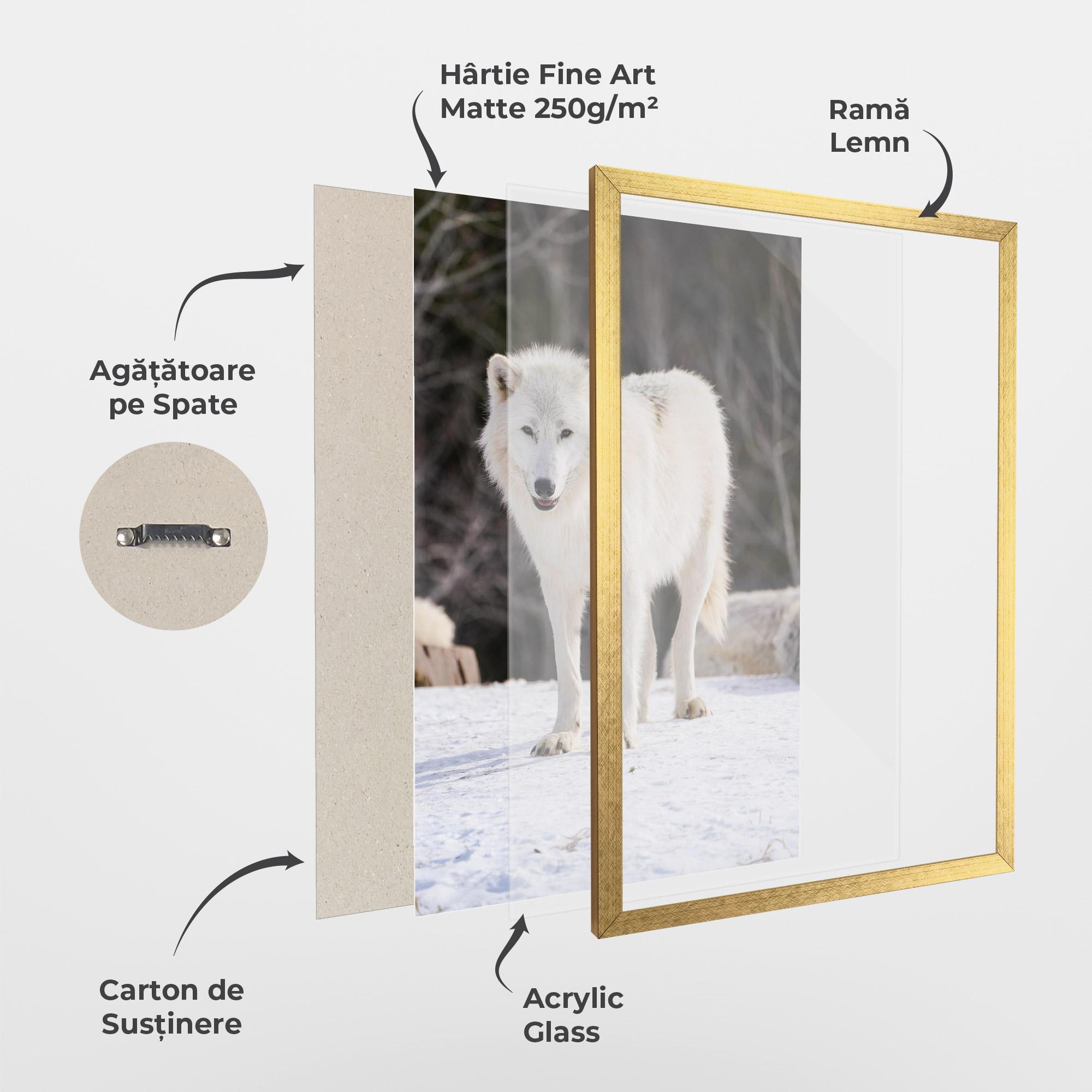 Poster Înrămat Beautiful White Wolf mockup 1