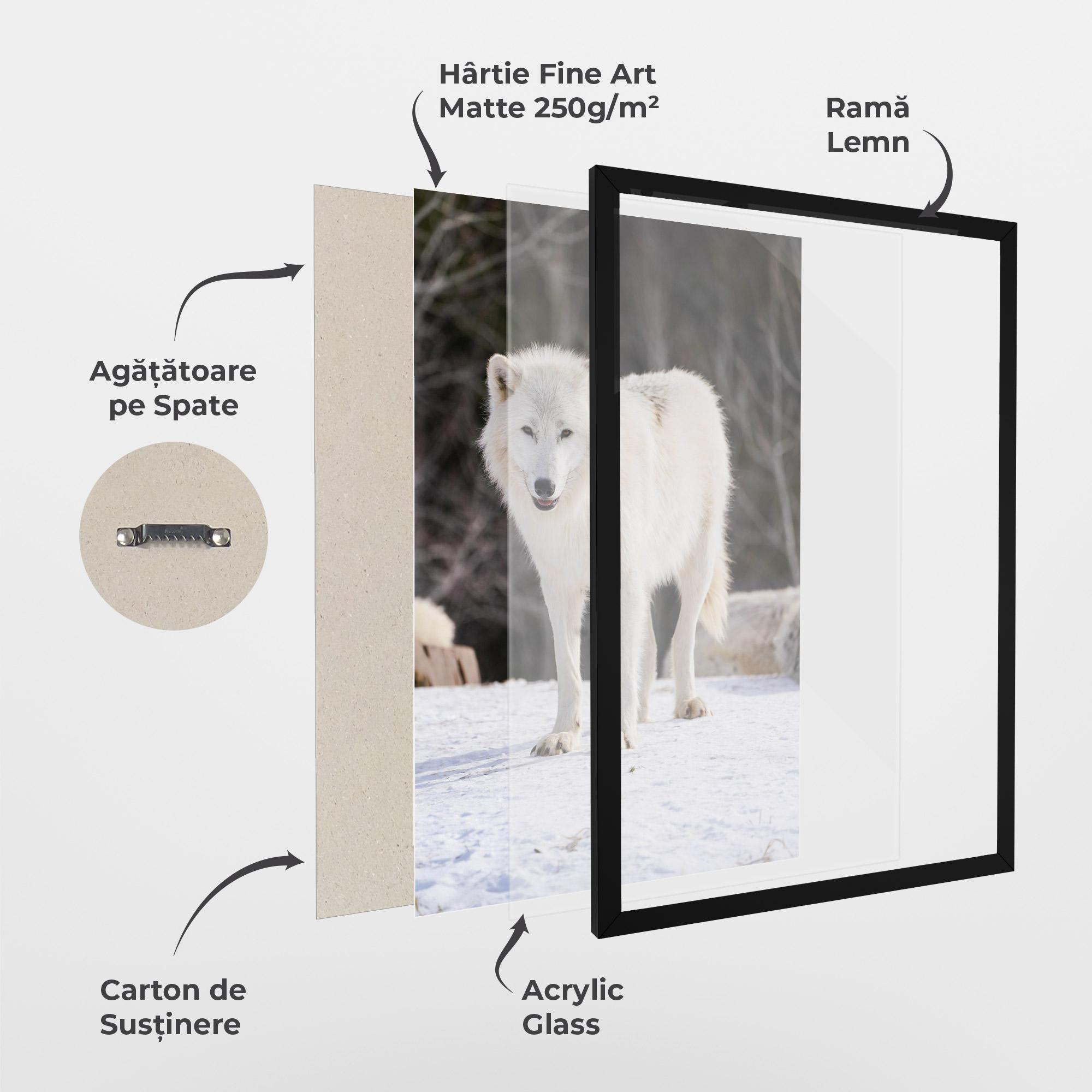 Poster Înrămat Beautiful White Wolf mockup 1