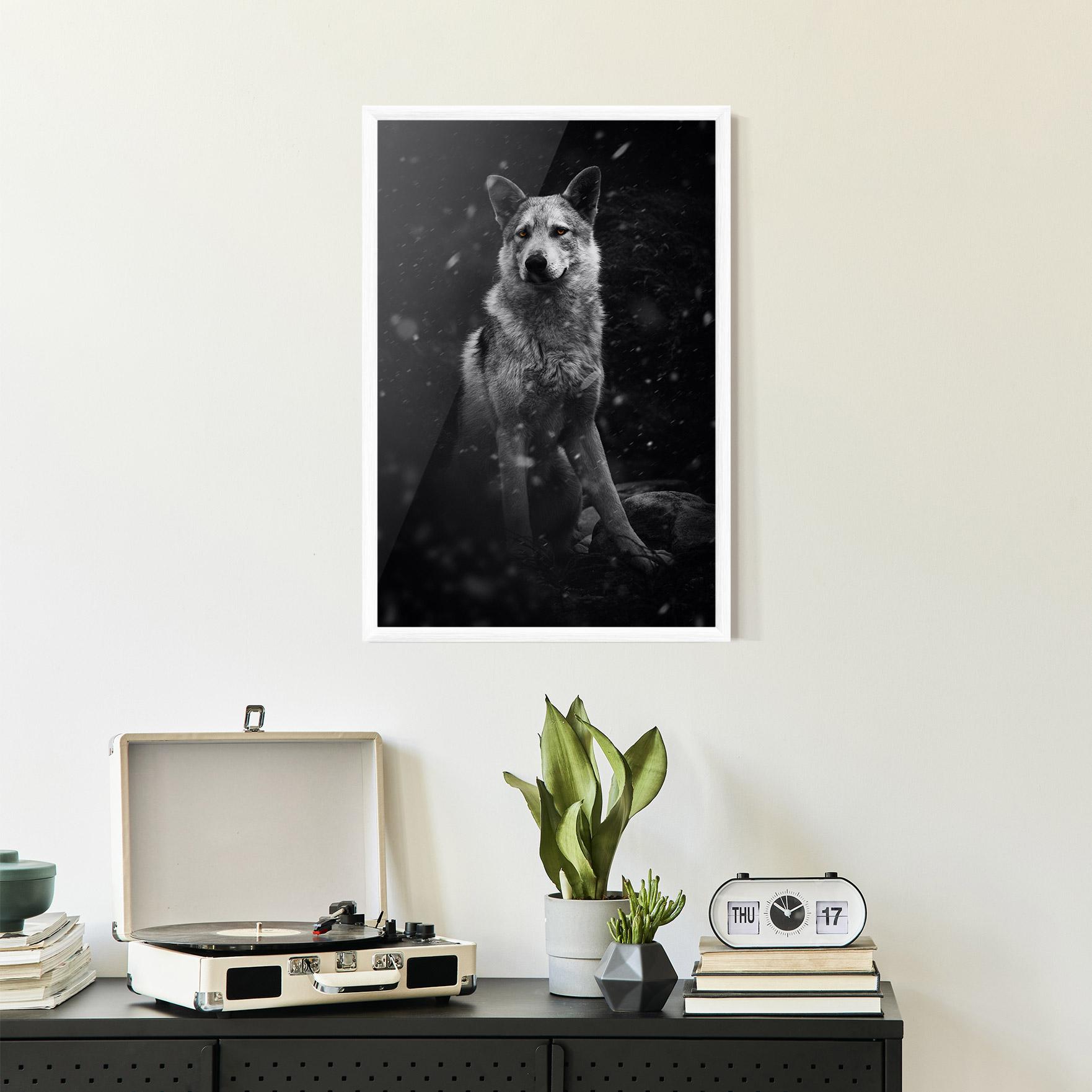 Poster Înrămat Sitting Wolf mockup 2