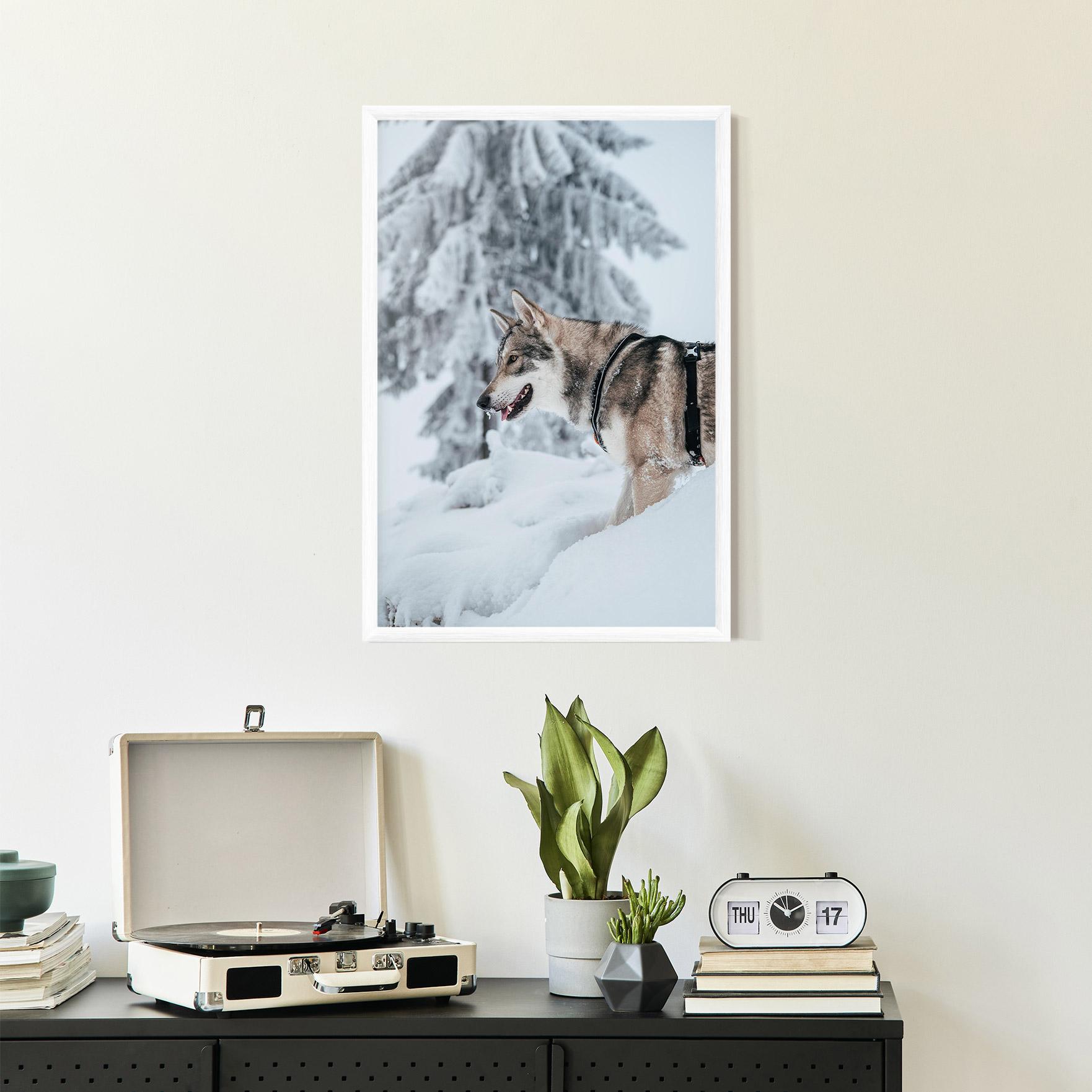 Poster Înrămat Snow Wolf mockup 2