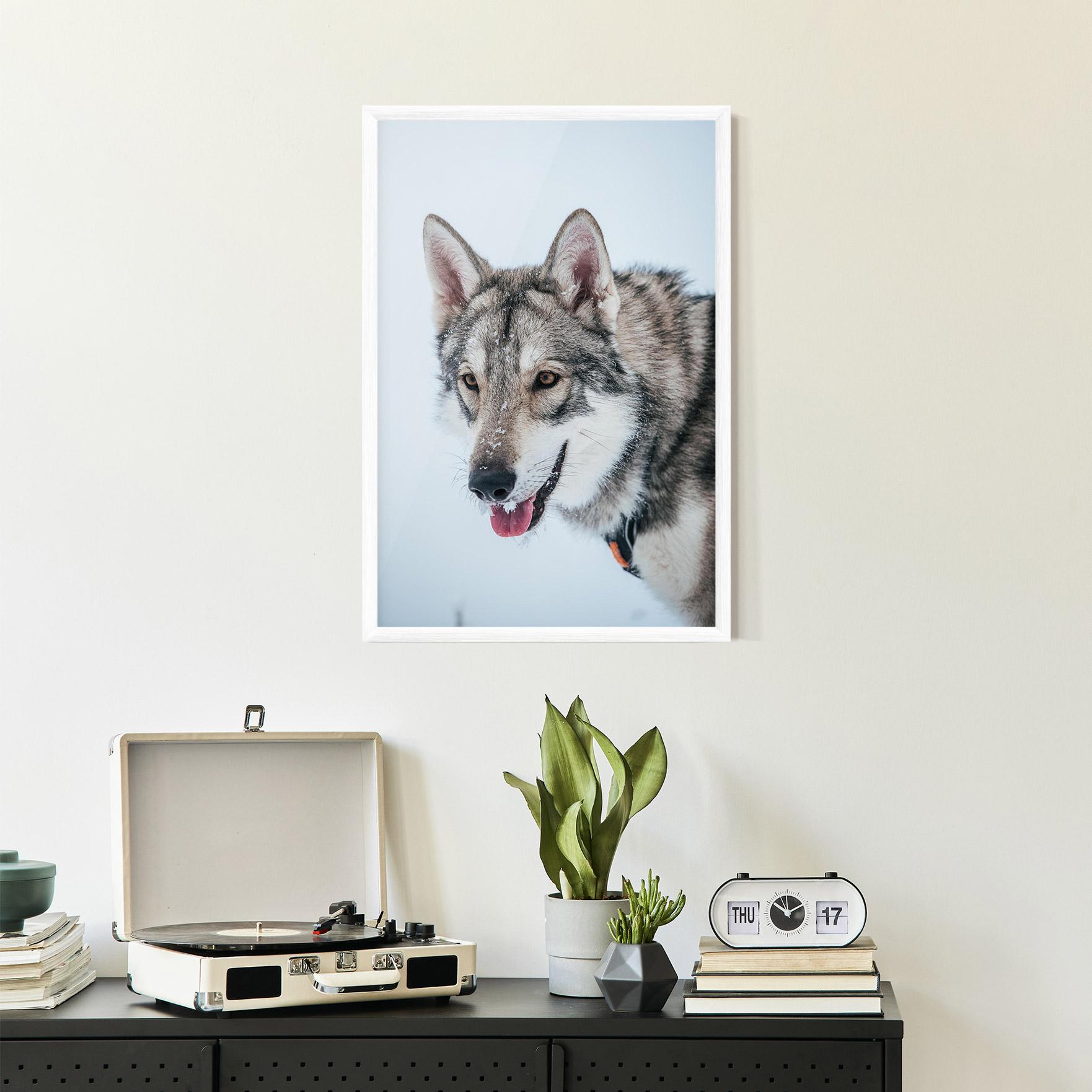 Poster Înrămat Wolf Head mockup 2
