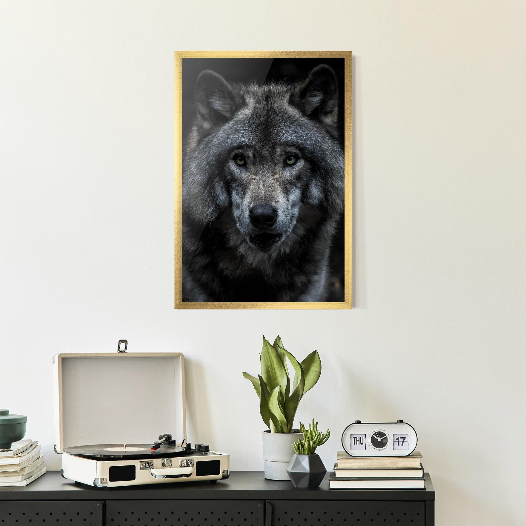 Poster Înrămat Angry Wolf mockup 2