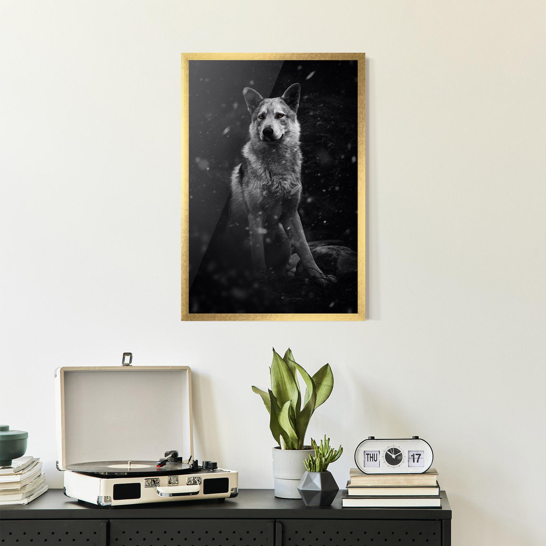 Poster Înrămat Sitting Wolf mockup 2