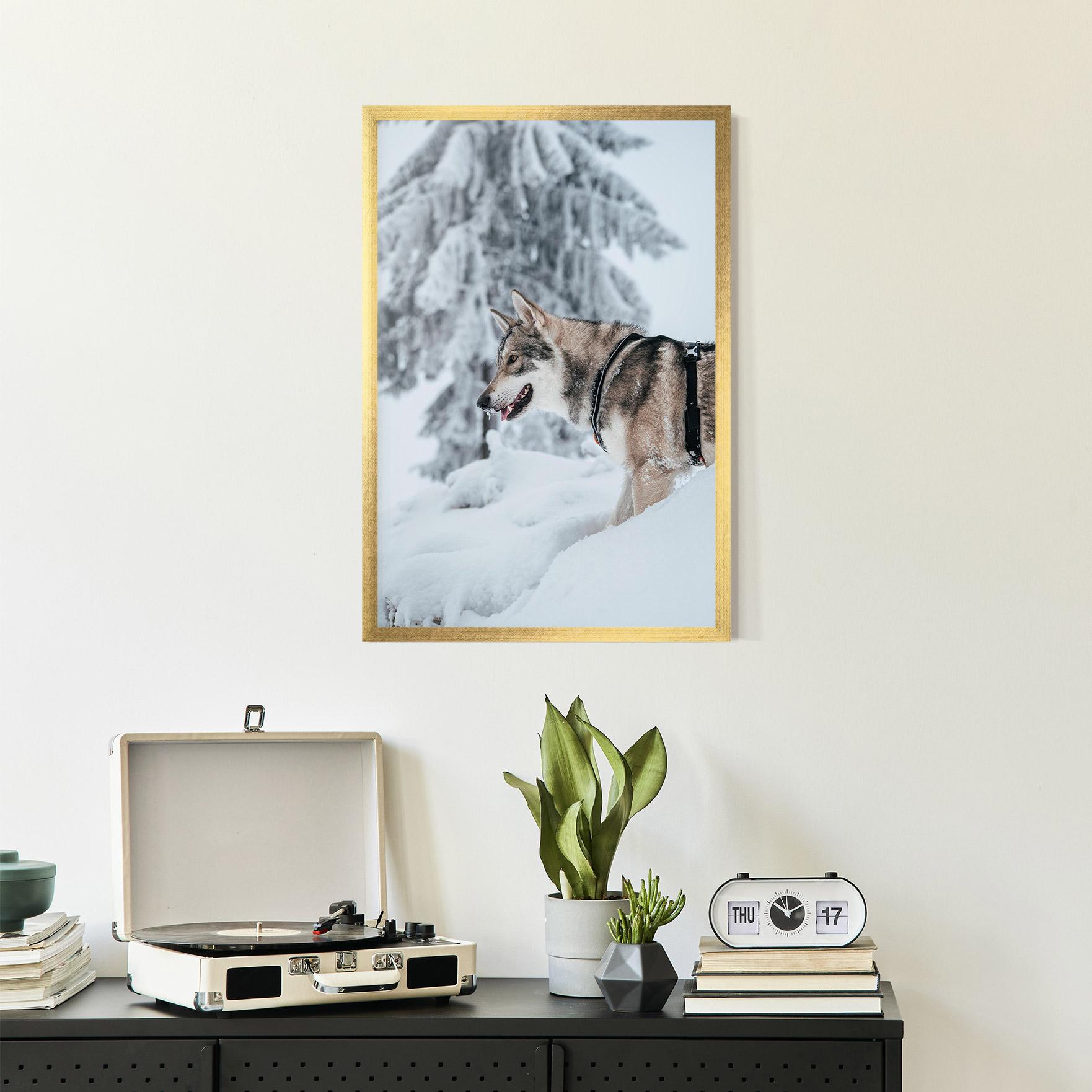 Poster Înrămat Snow Wolf mockup 2