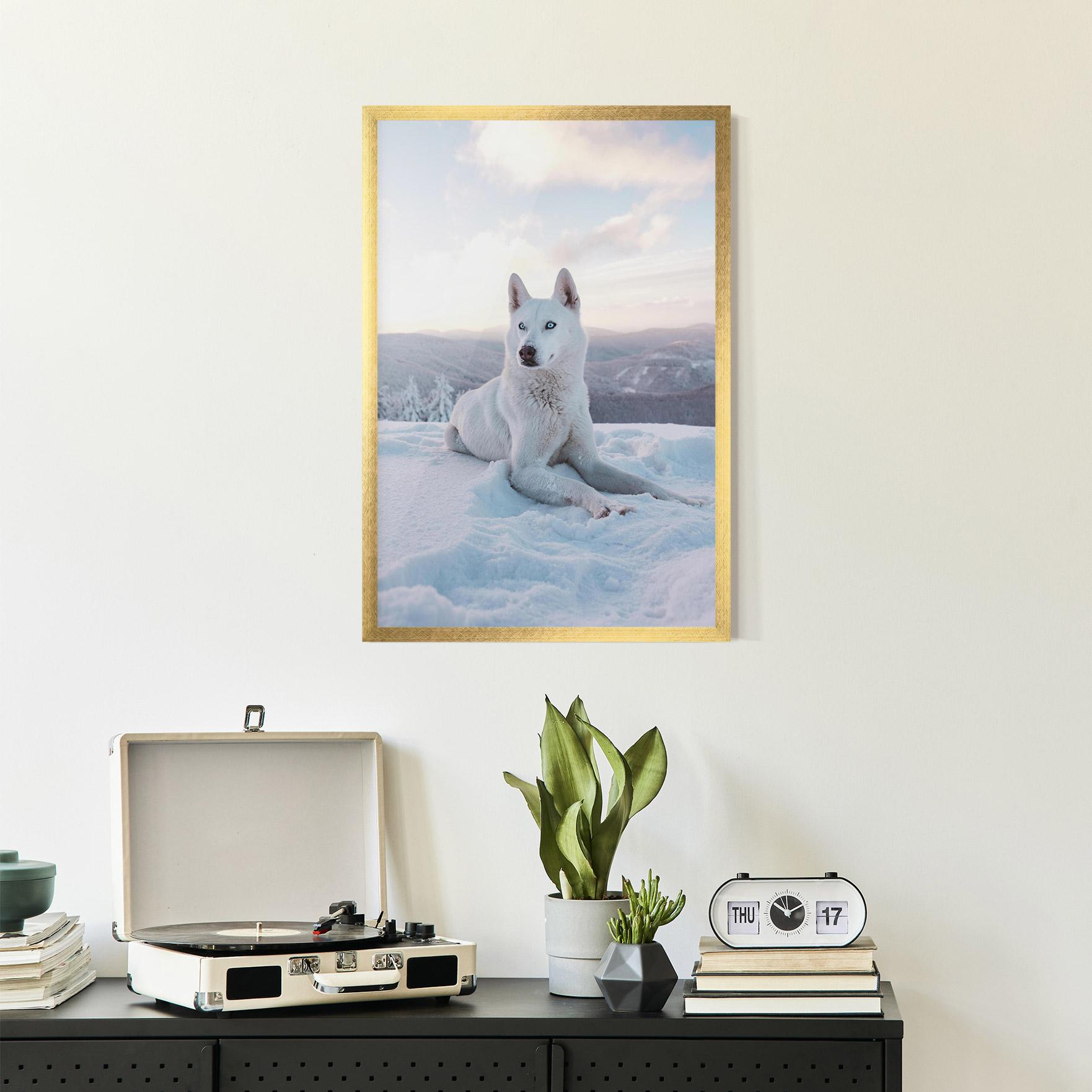Poster Înrămat White Snow Wolf mockup 2
