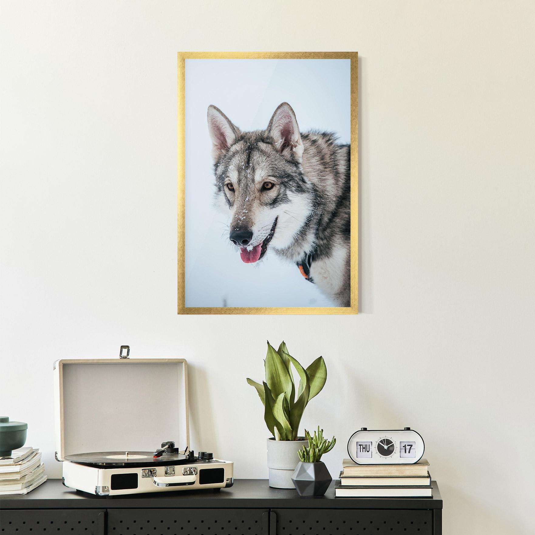 Poster Înrămat Wolf Head mockup 2