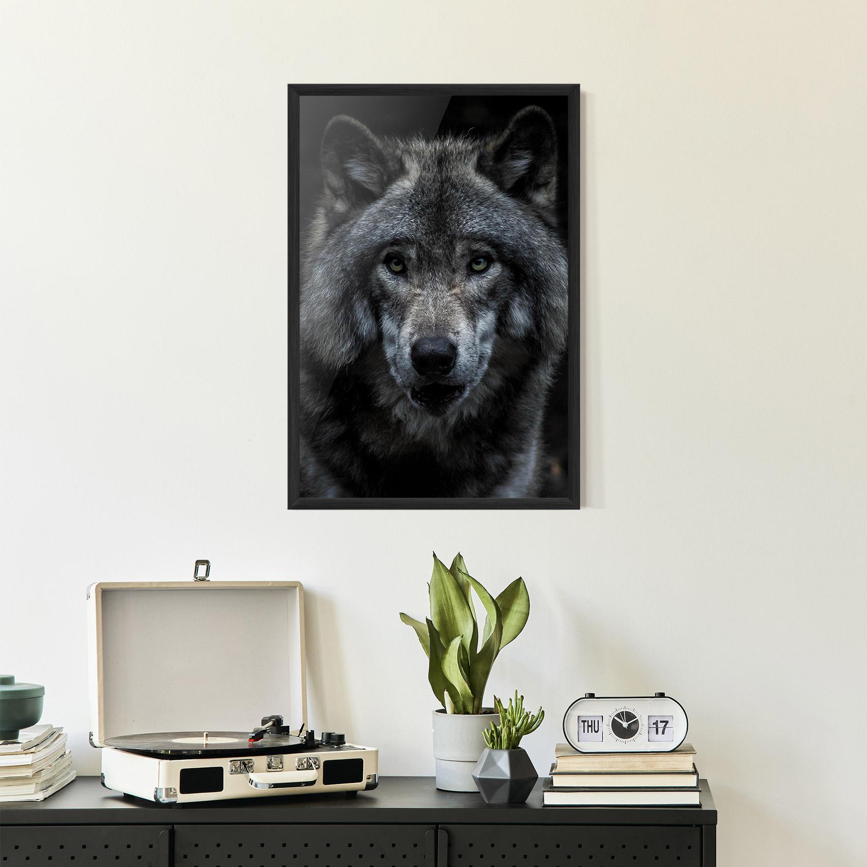 Poster Înrămat Angry Wolf mockup 2