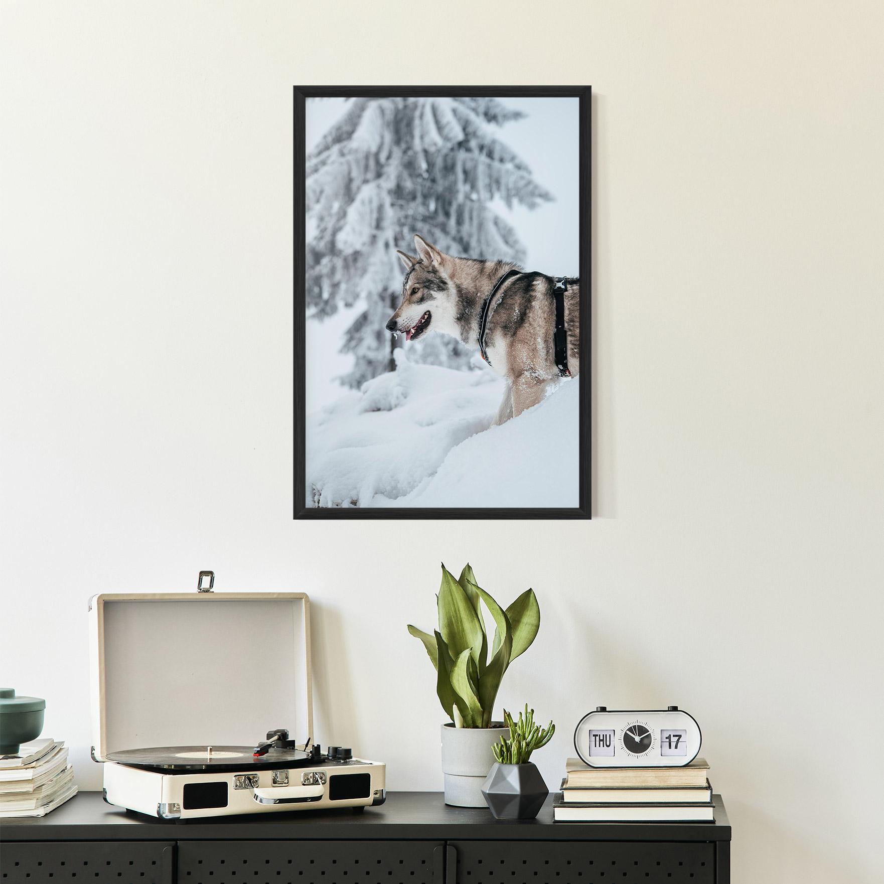 Poster Înrămat Snow Wolf mockup 2