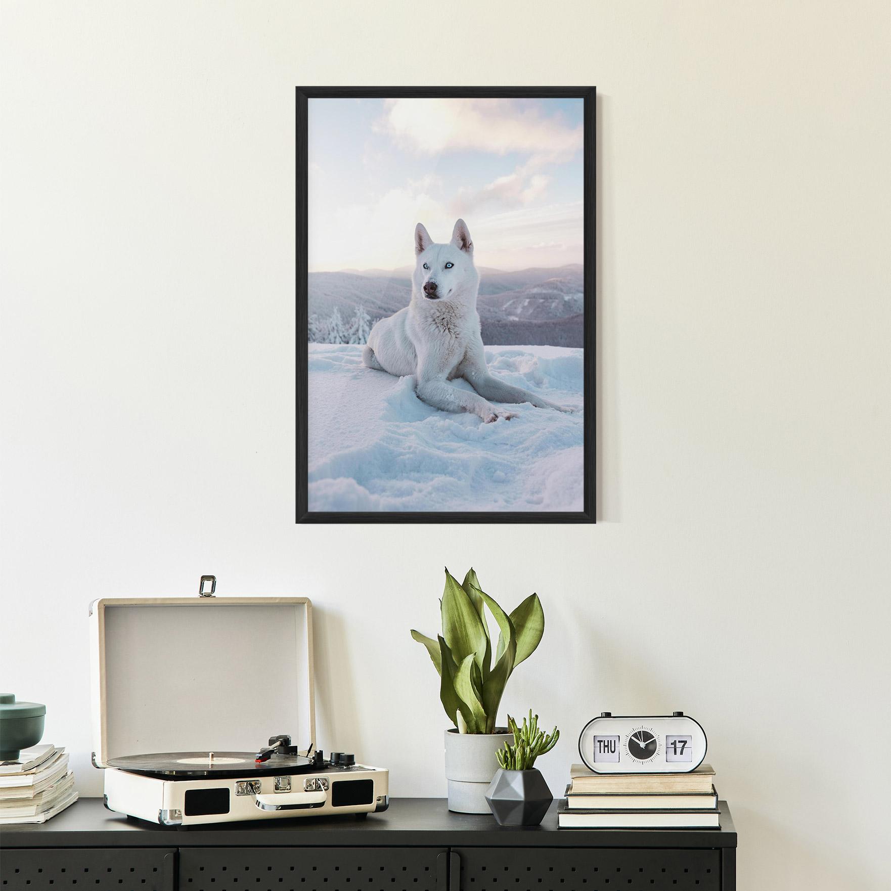 Poster Înrămat White Snow Wolf mockup 2