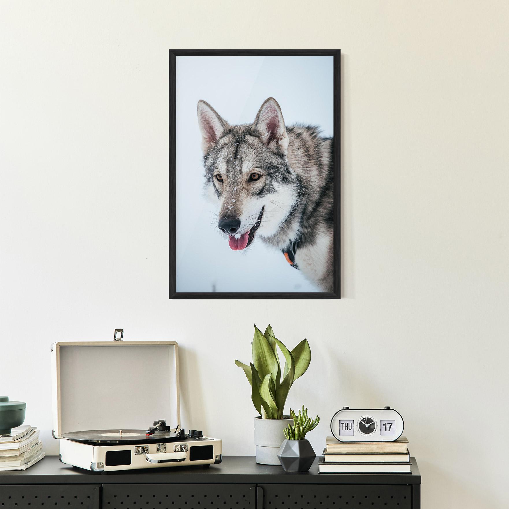 Poster Înrămat Wolf Head mockup 2