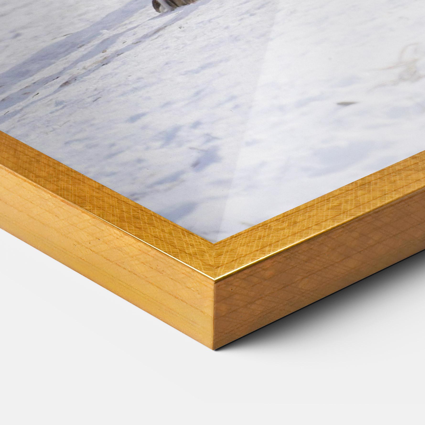 Poster Înrămat Beautiful White Wolf mockup 3